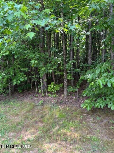 Indigo Bunting Drive Harriman TN 37748