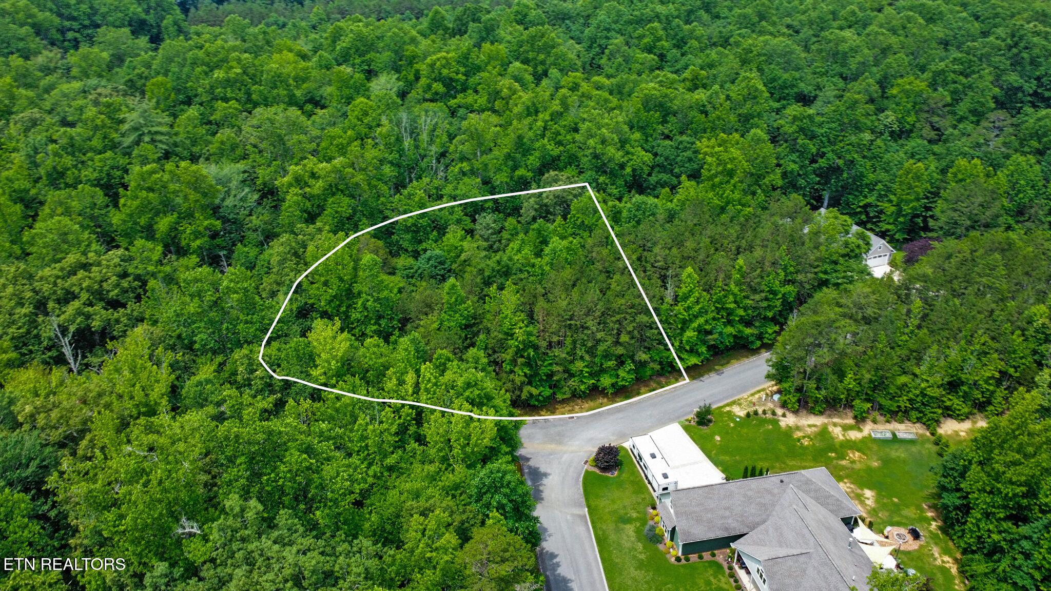 Indigo Bunting Drive Harriman TN 37748