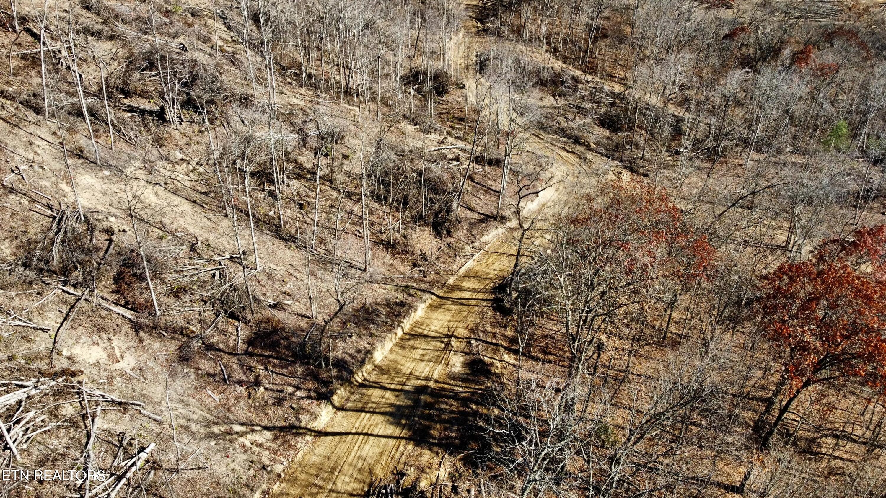 Lot # 11 Stanley Creek Road Oneida TN 37841