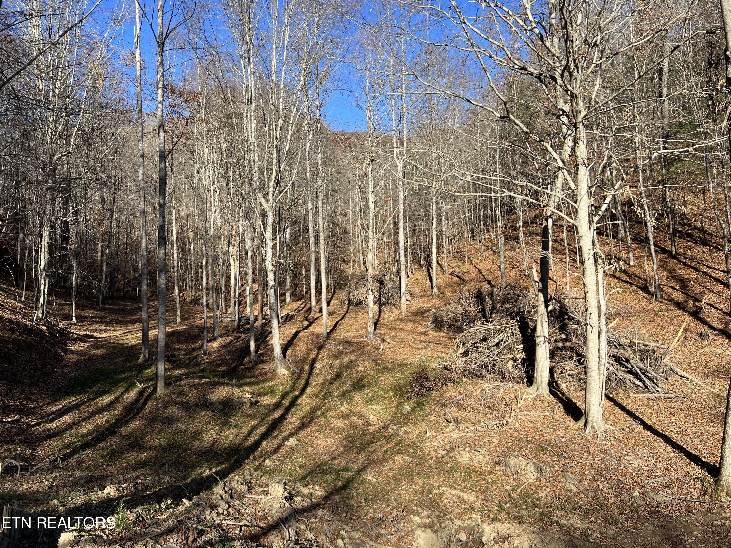 Lot # 11 Stanley Creek Road Oneida TN 37841