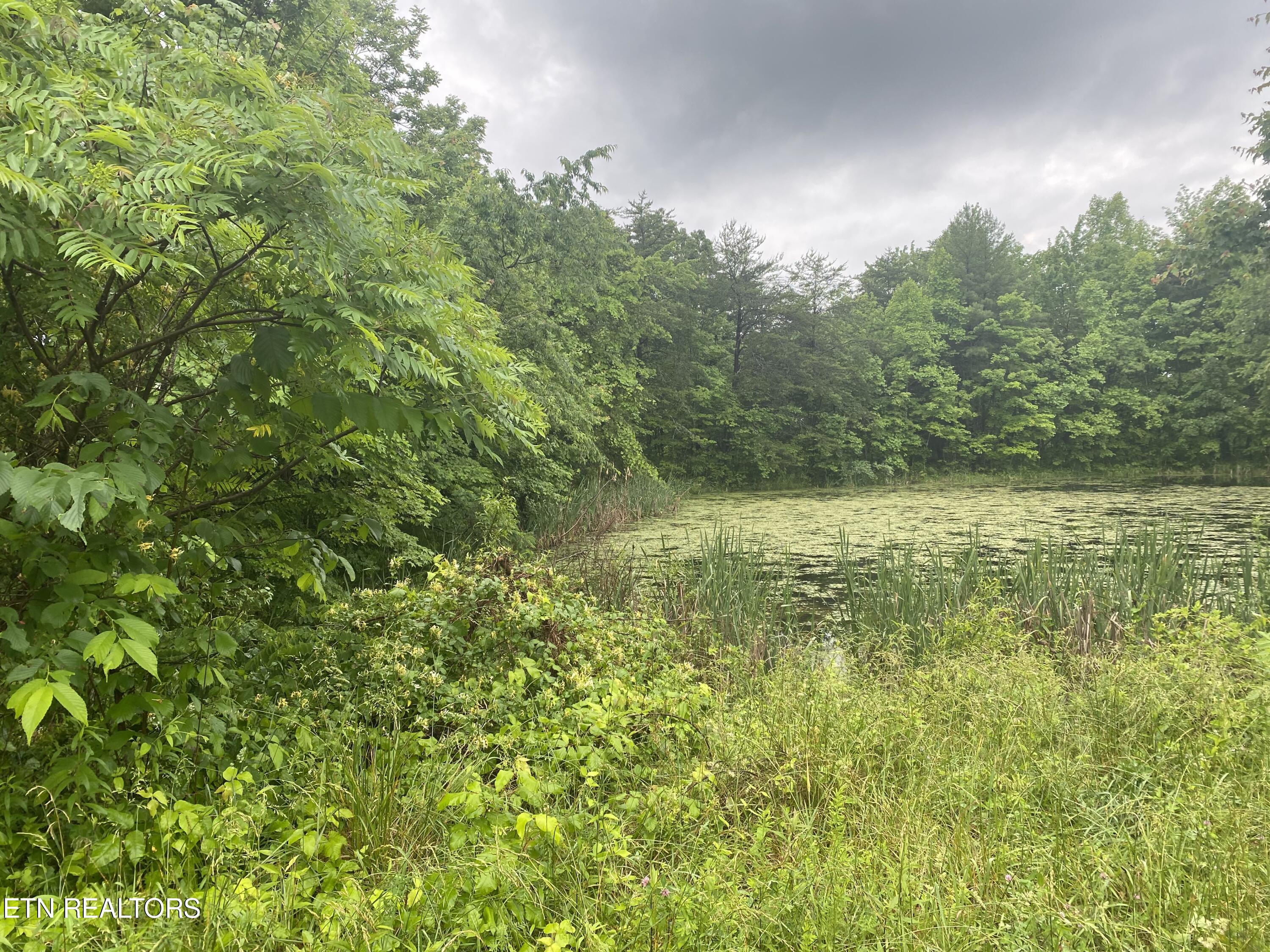 Lot # 11 Stanley Creek Road Oneida TN 37841