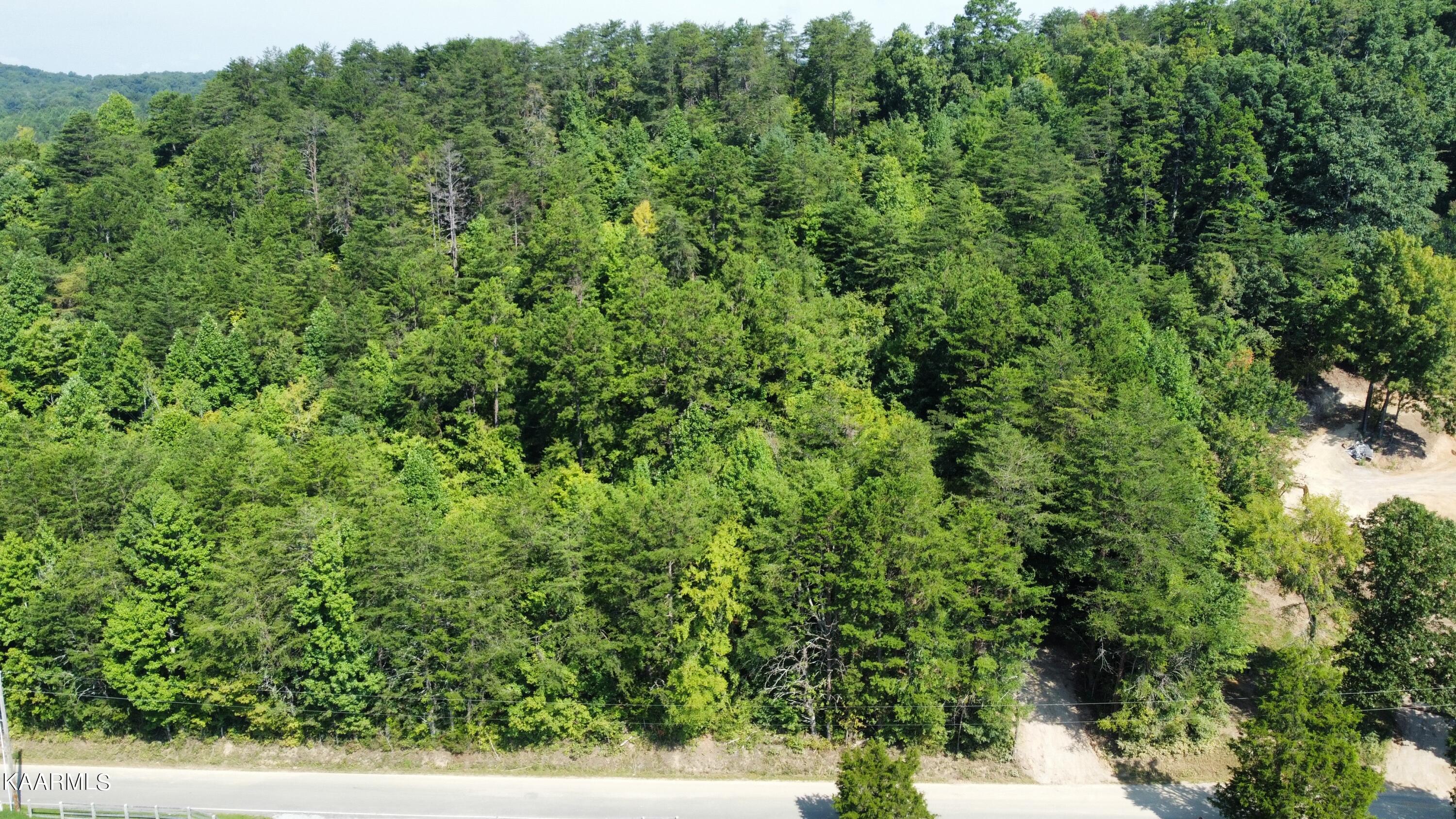 73 Acres Tarklin Valley Road Rockford TN 37853