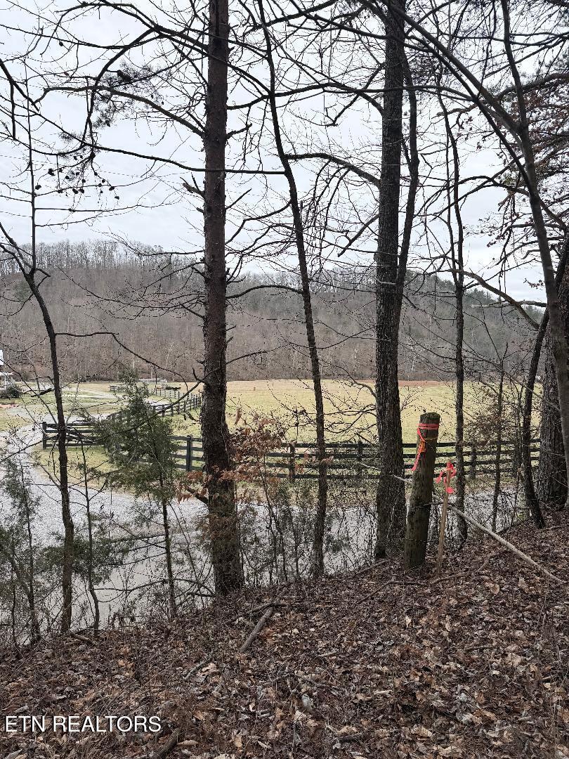 73 Acres Tarklin Valley Road Rockford TN 37853