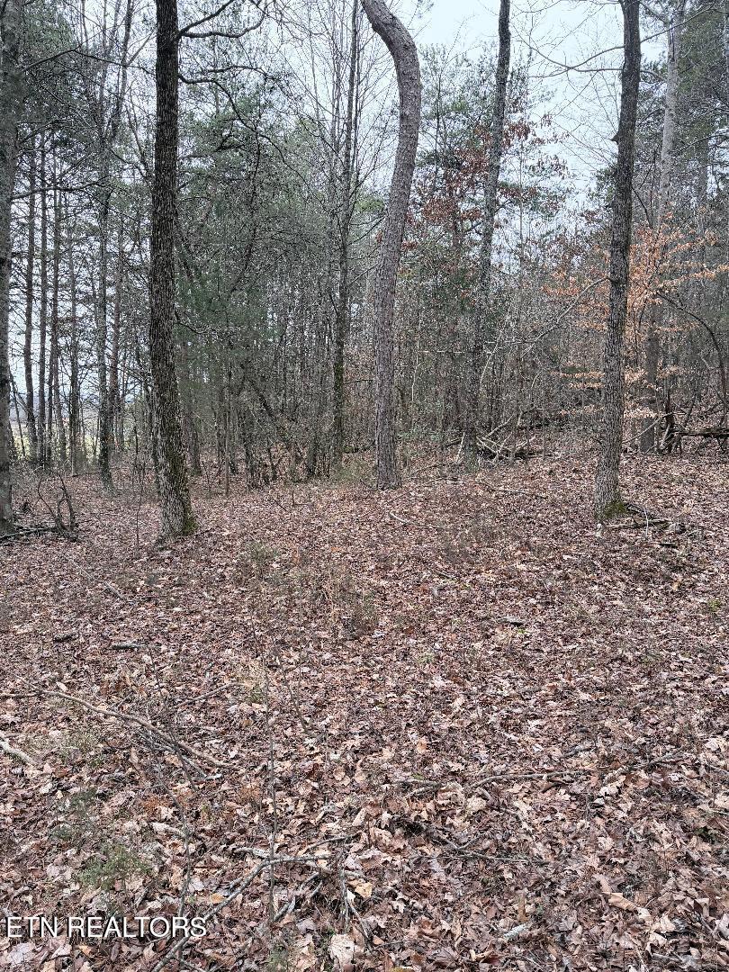 73 Acres Tarklin Valley Road Rockford TN 37853