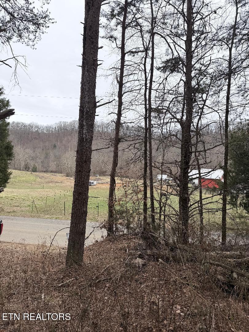 73 Acres Tarklin Valley Road Rockford TN 37853