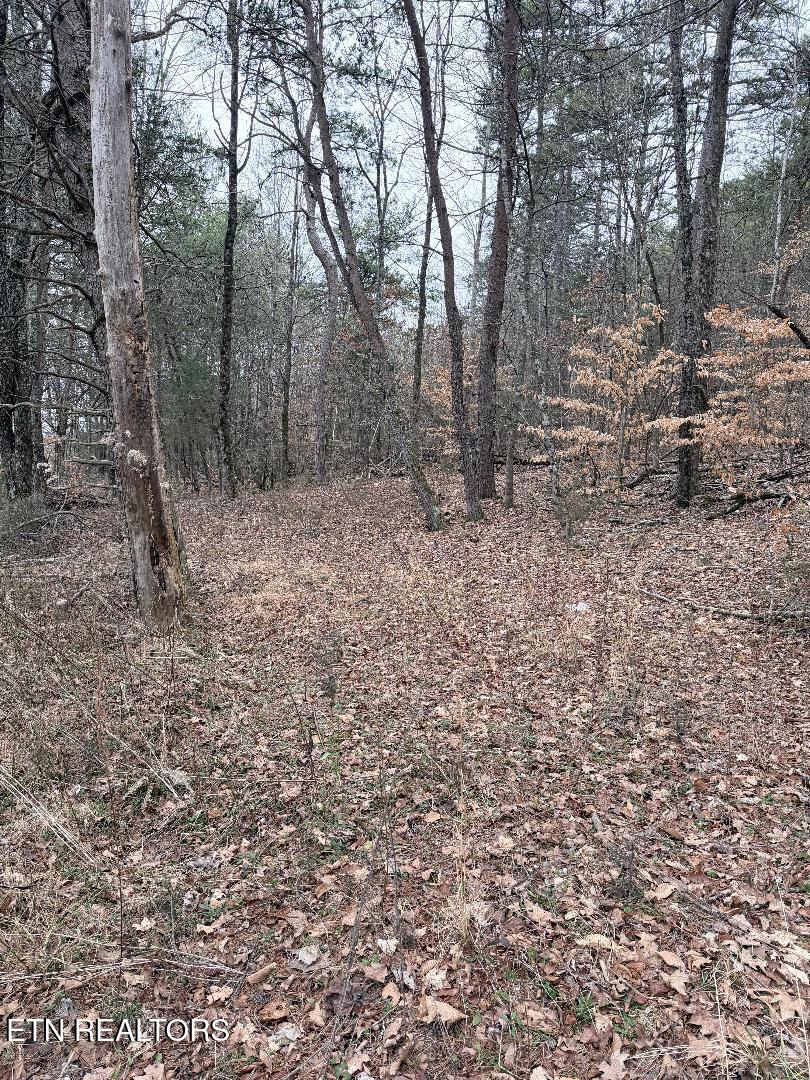 73 Acres Tarklin Valley Road Rockford TN 37853