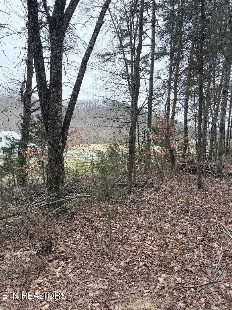 73 Acres Tarklin Valley Road Rockford TN 37853