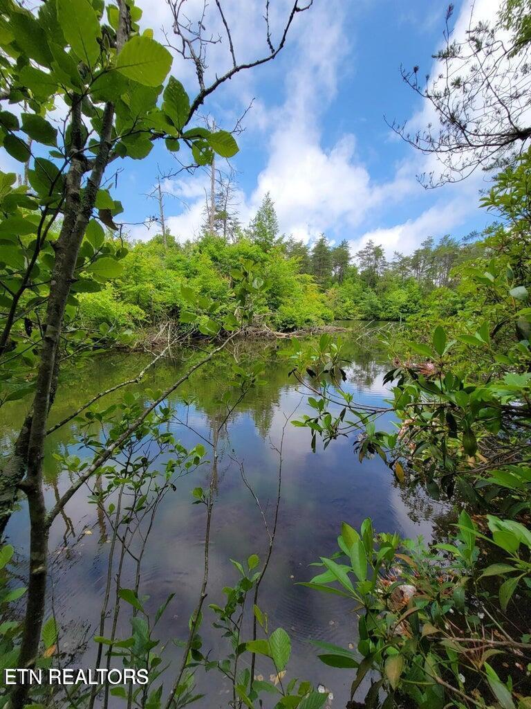 Blk 203 L5 Cumberland Lakes Drive Monterey TN 38574