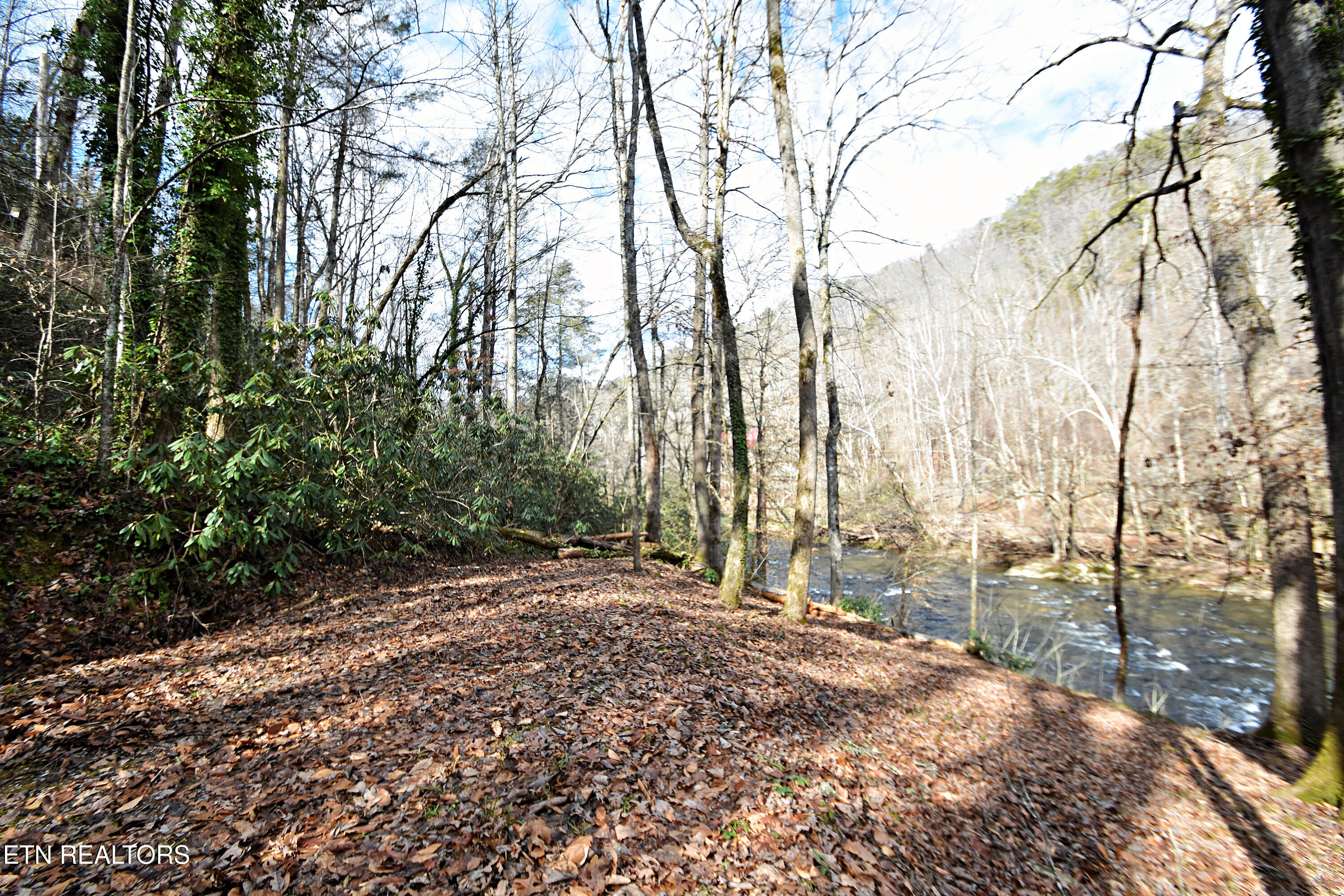 Twin Pines Way Sevierville TN 37876