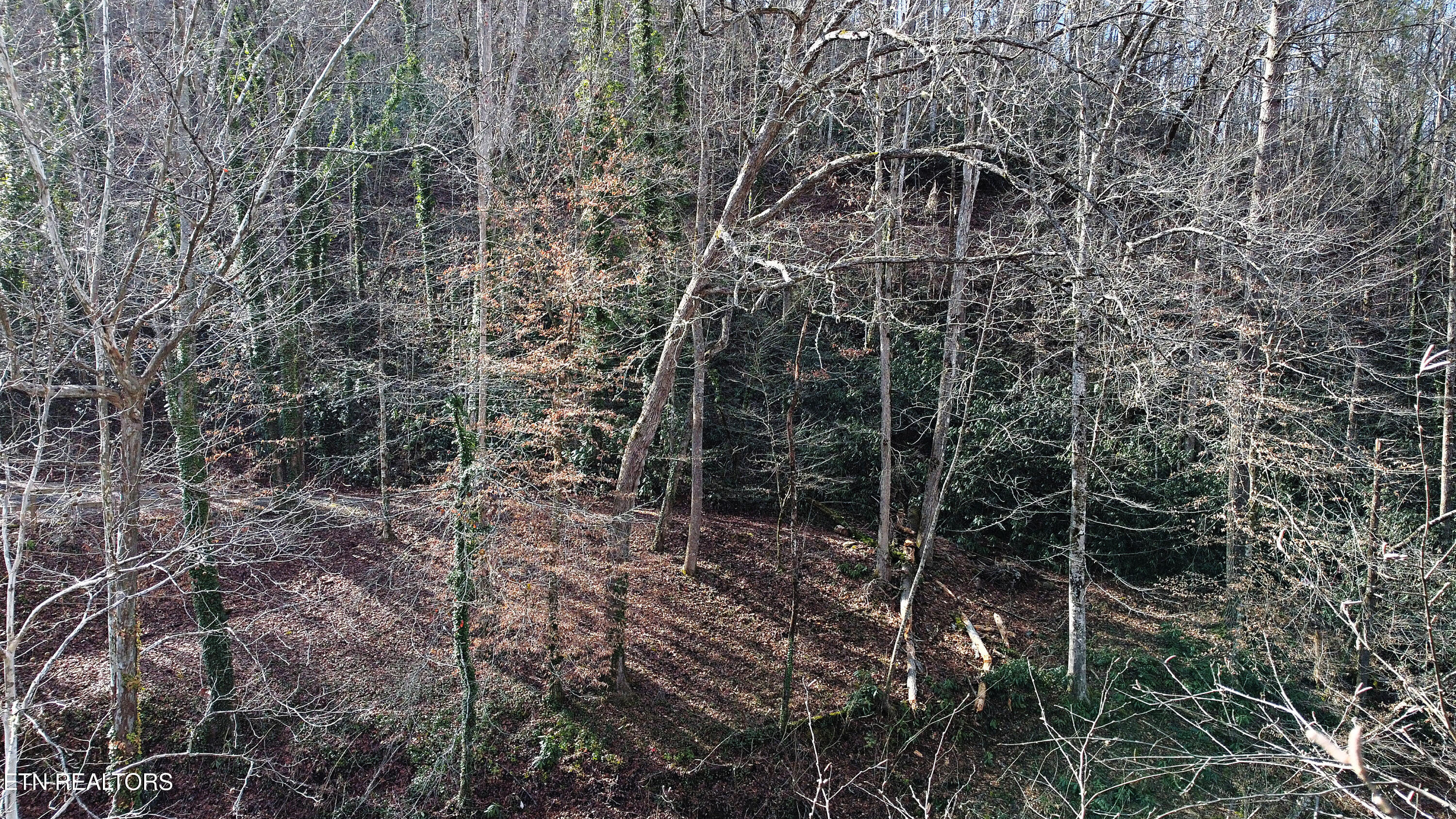 Twin Pines Way Sevierville TN 37876