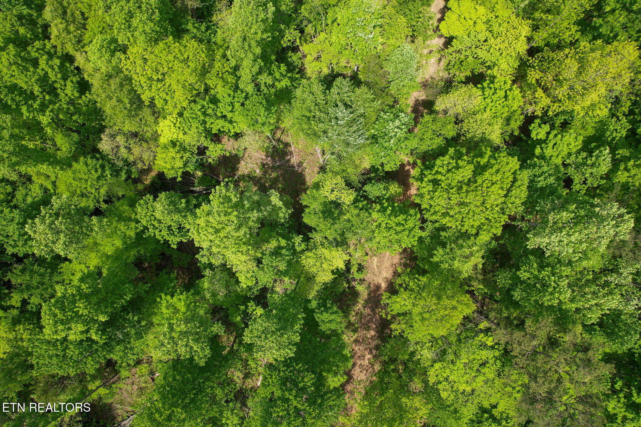 Cove Point Road Lafollette TN 37766