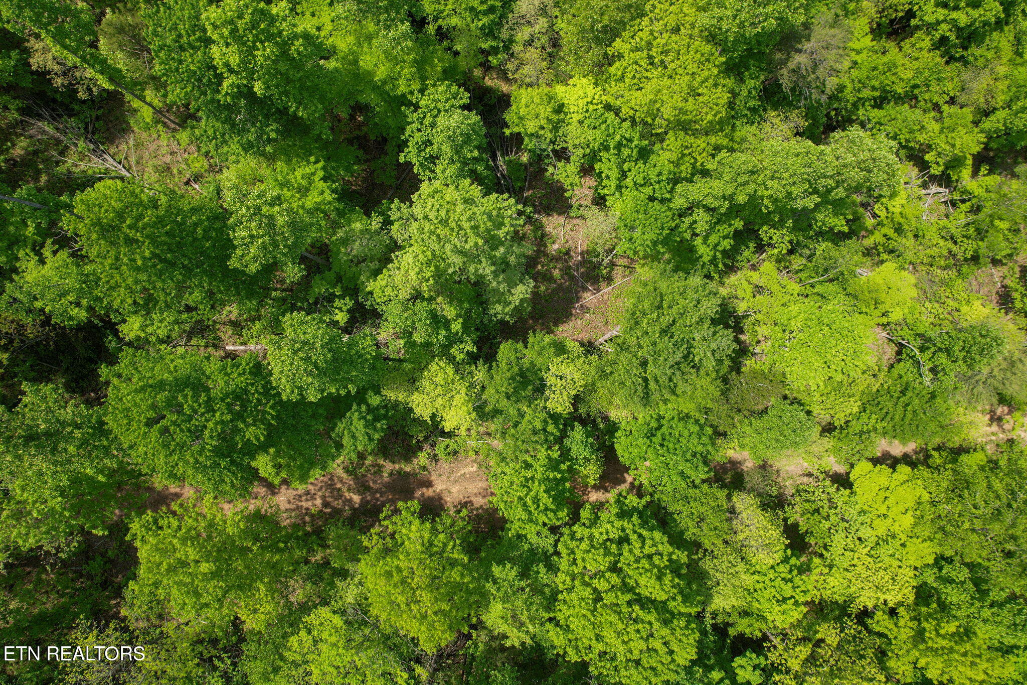 Cove Point Road Lafollette TN 37766