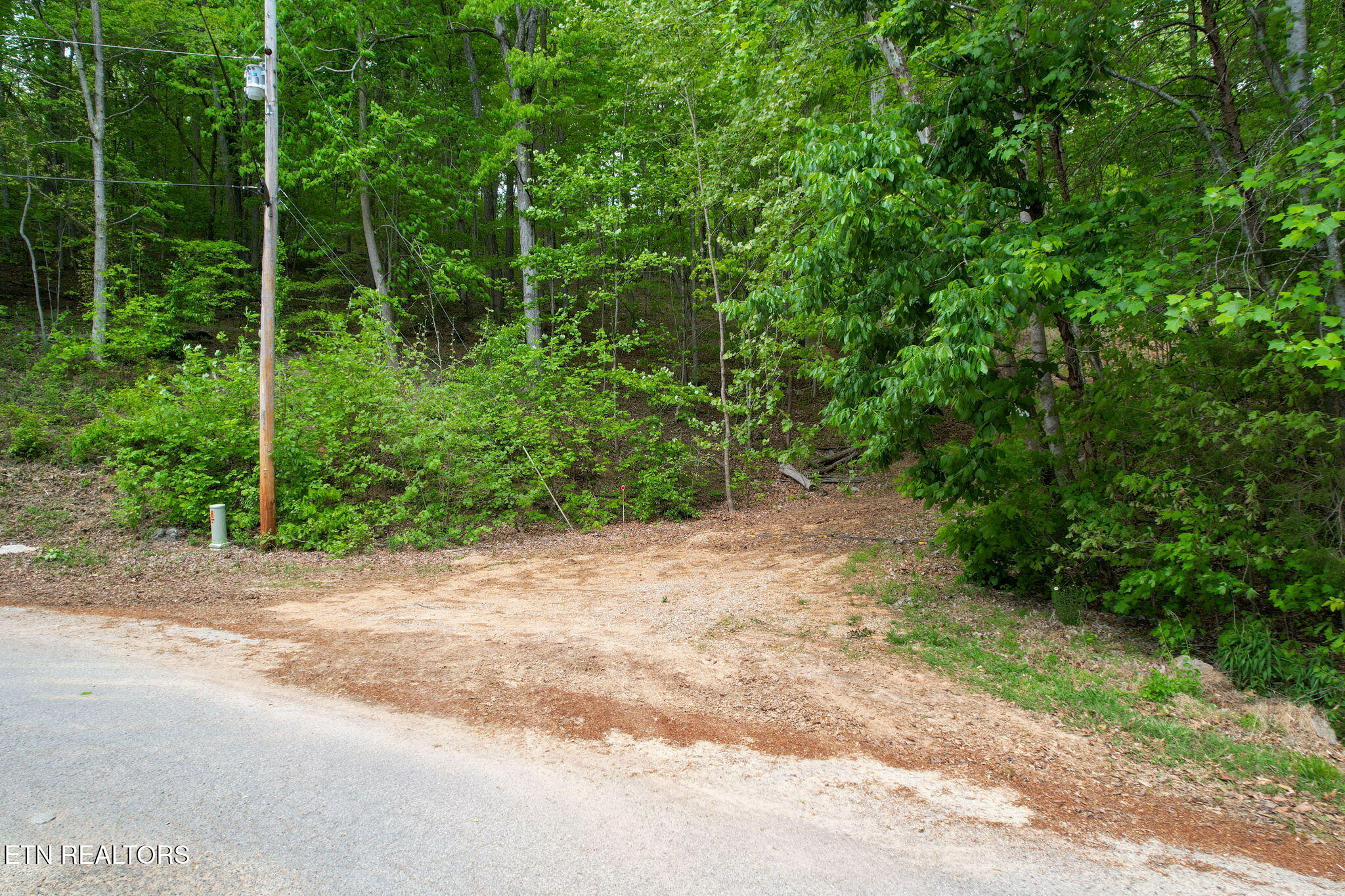 Cove Point Road Lafollette TN 37766
