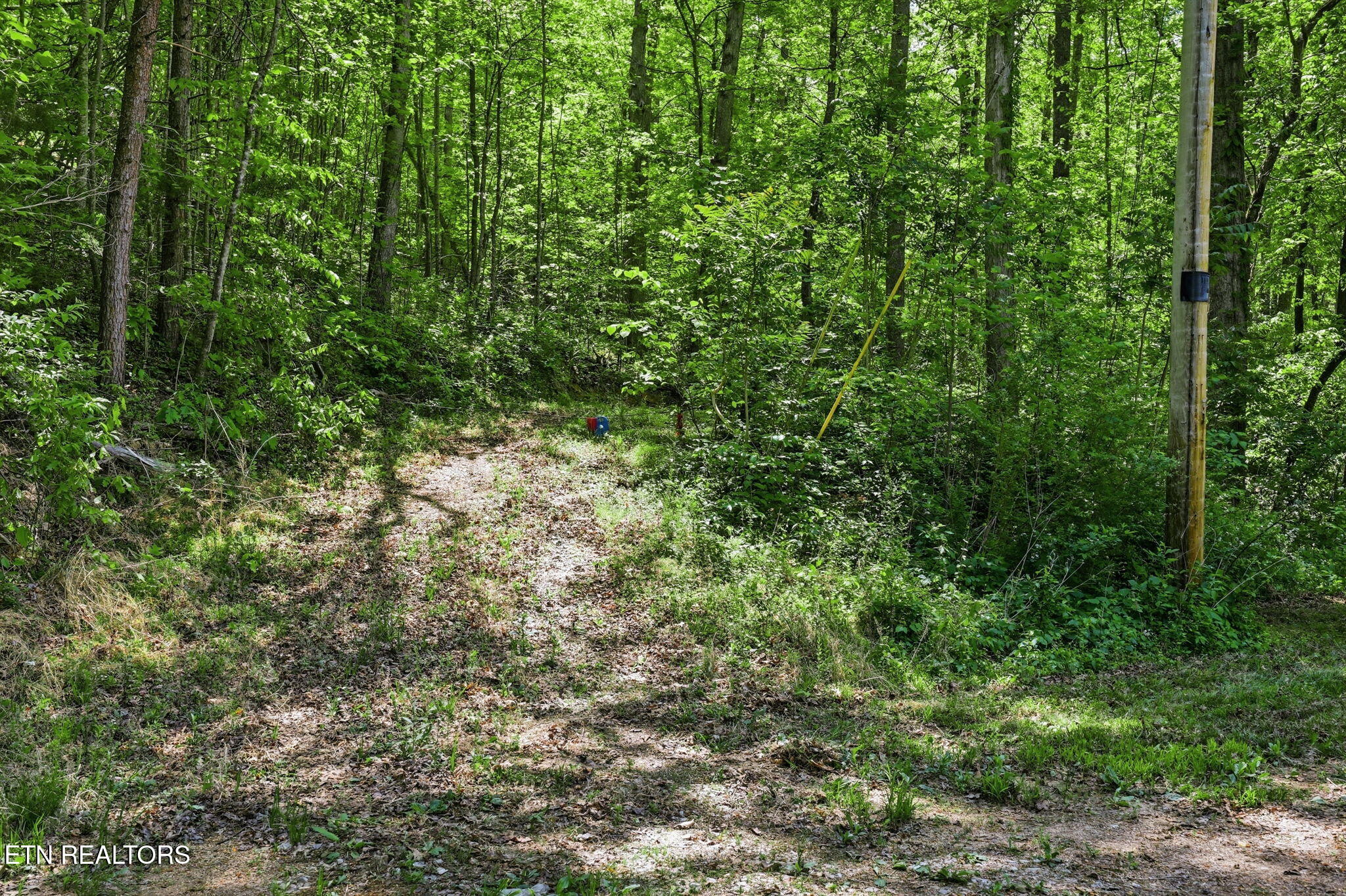 Cove Point Road Lafollette TN 37766