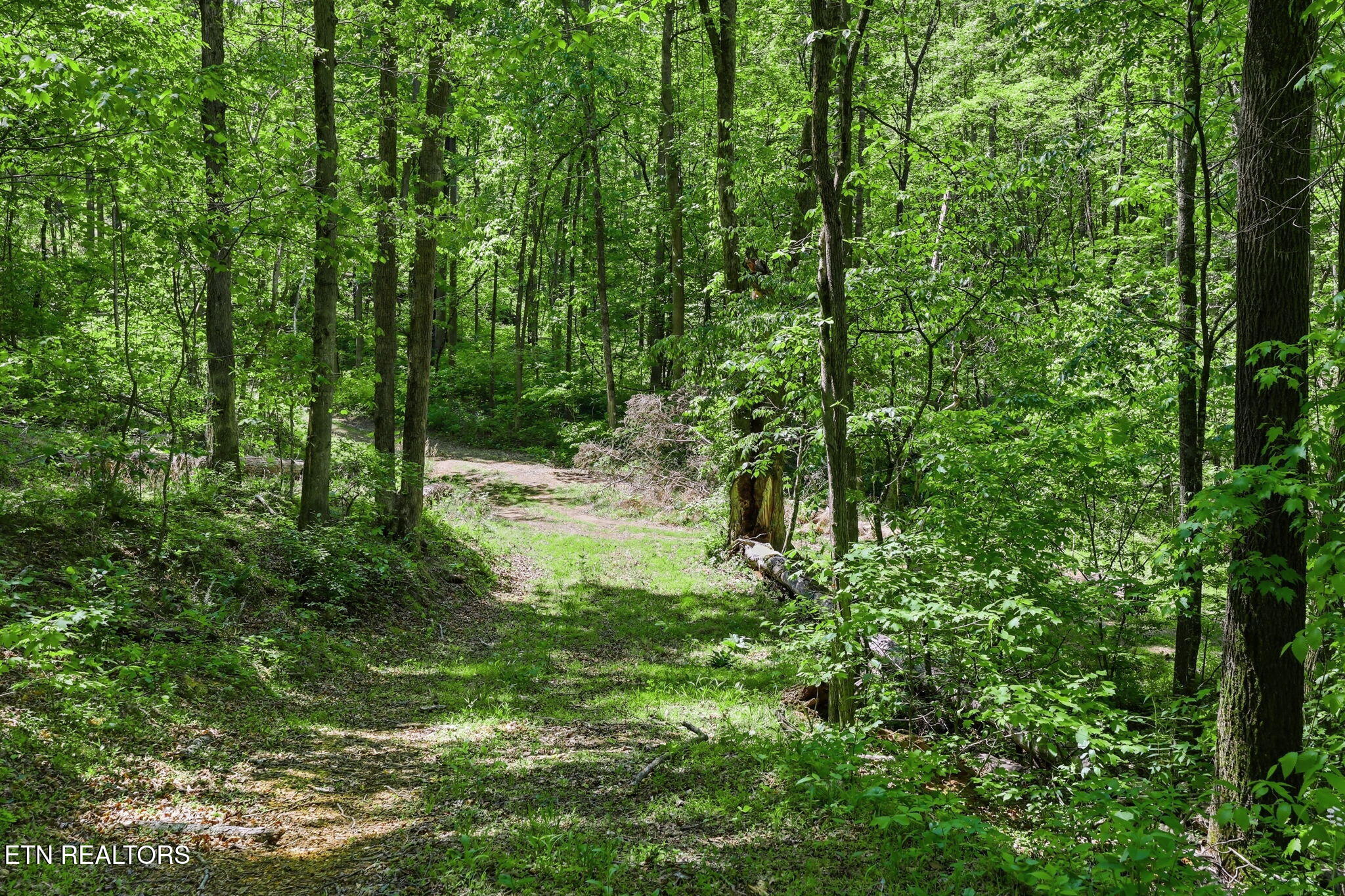 Cove Point Road Lafollette TN 37766