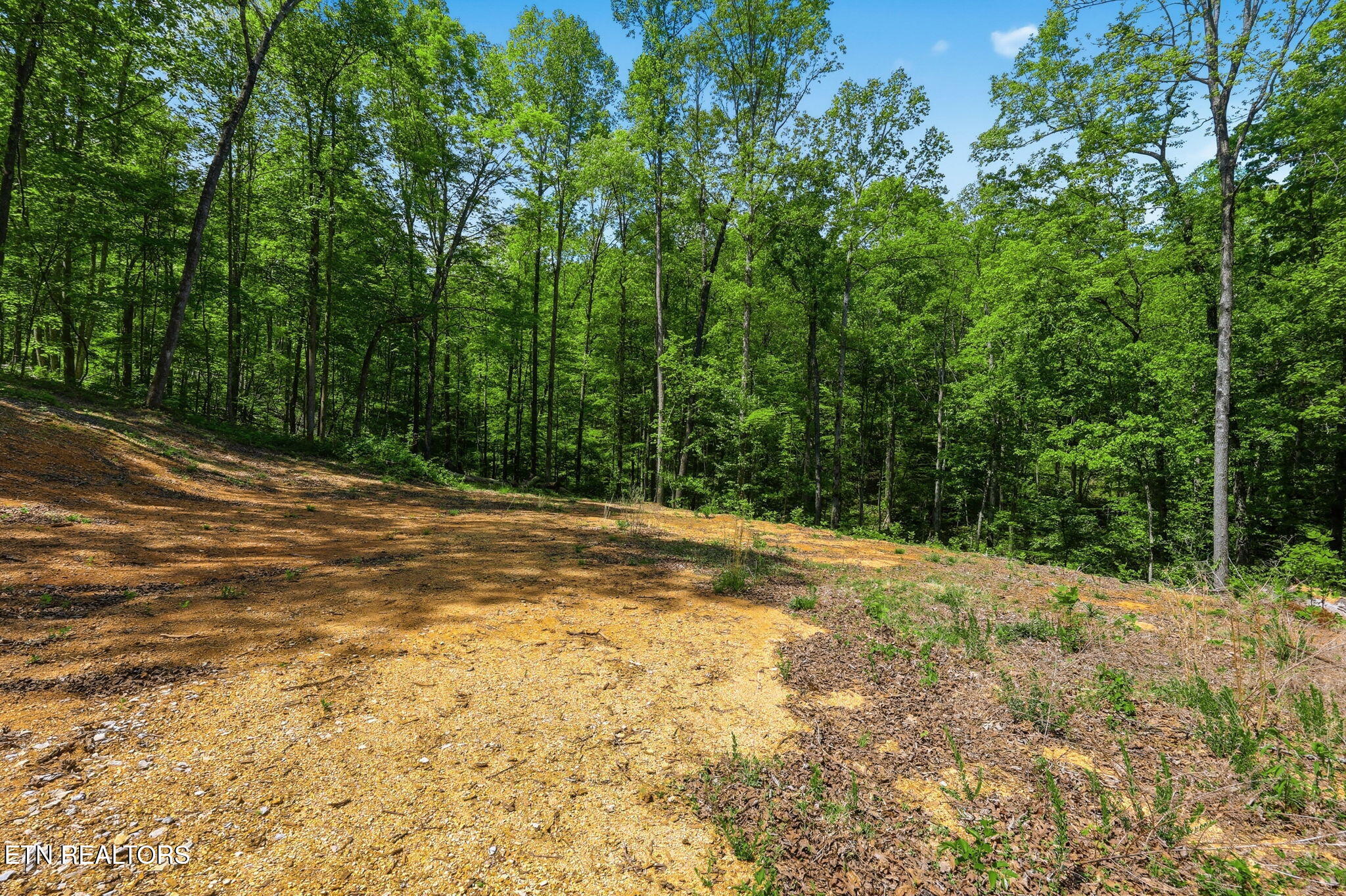 Cove Point Road Lafollette TN 37766