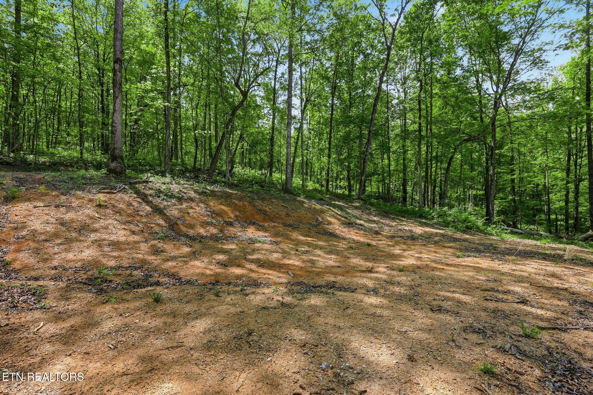 Cove Point Road Lafollette TN 37766