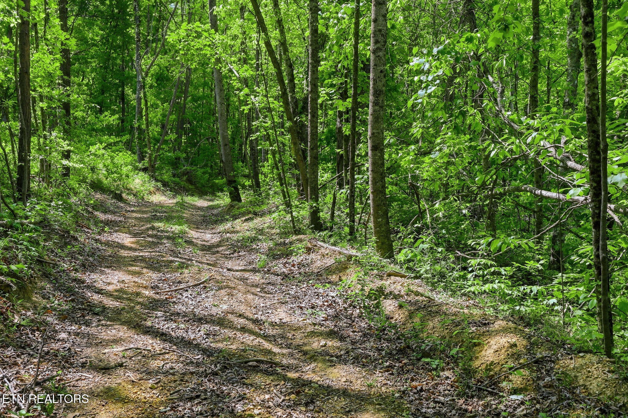 Cove Point Road Lafollette TN 37766