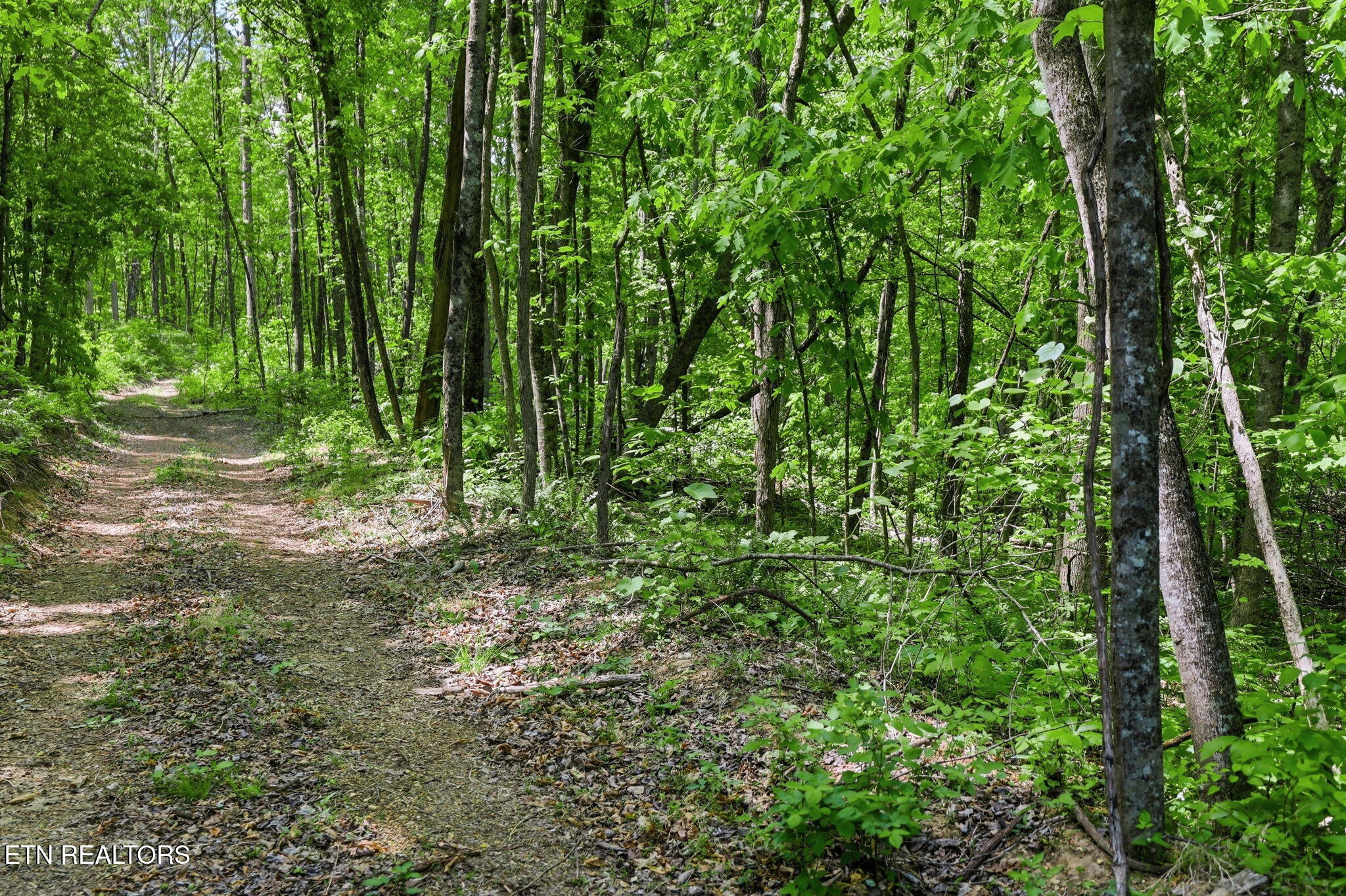 Cove Point Road Lafollette TN 37766