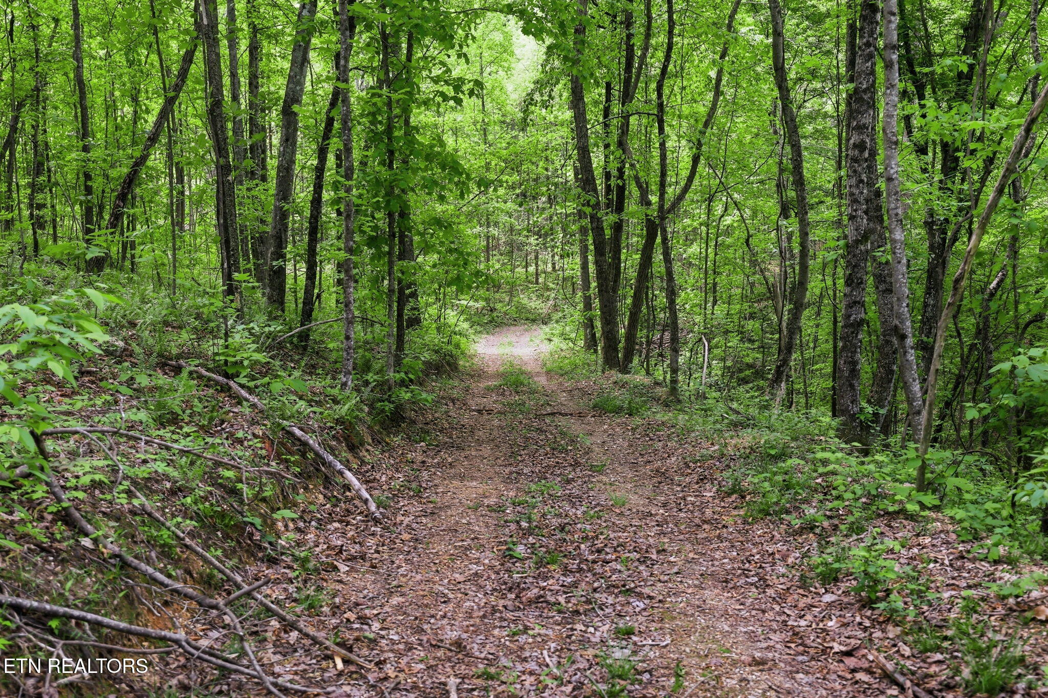 Cove Point Road Lafollette TN 37766