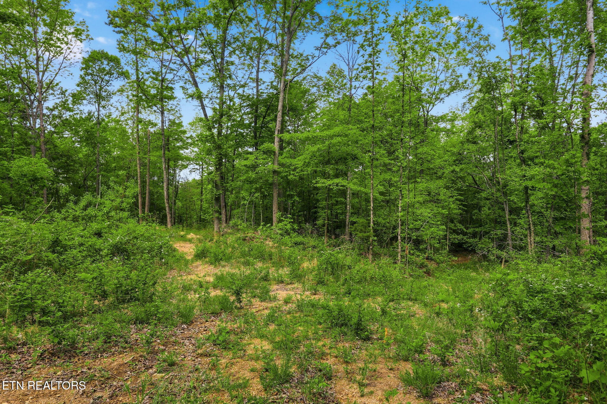 Cove Point Road Lafollette TN 37766