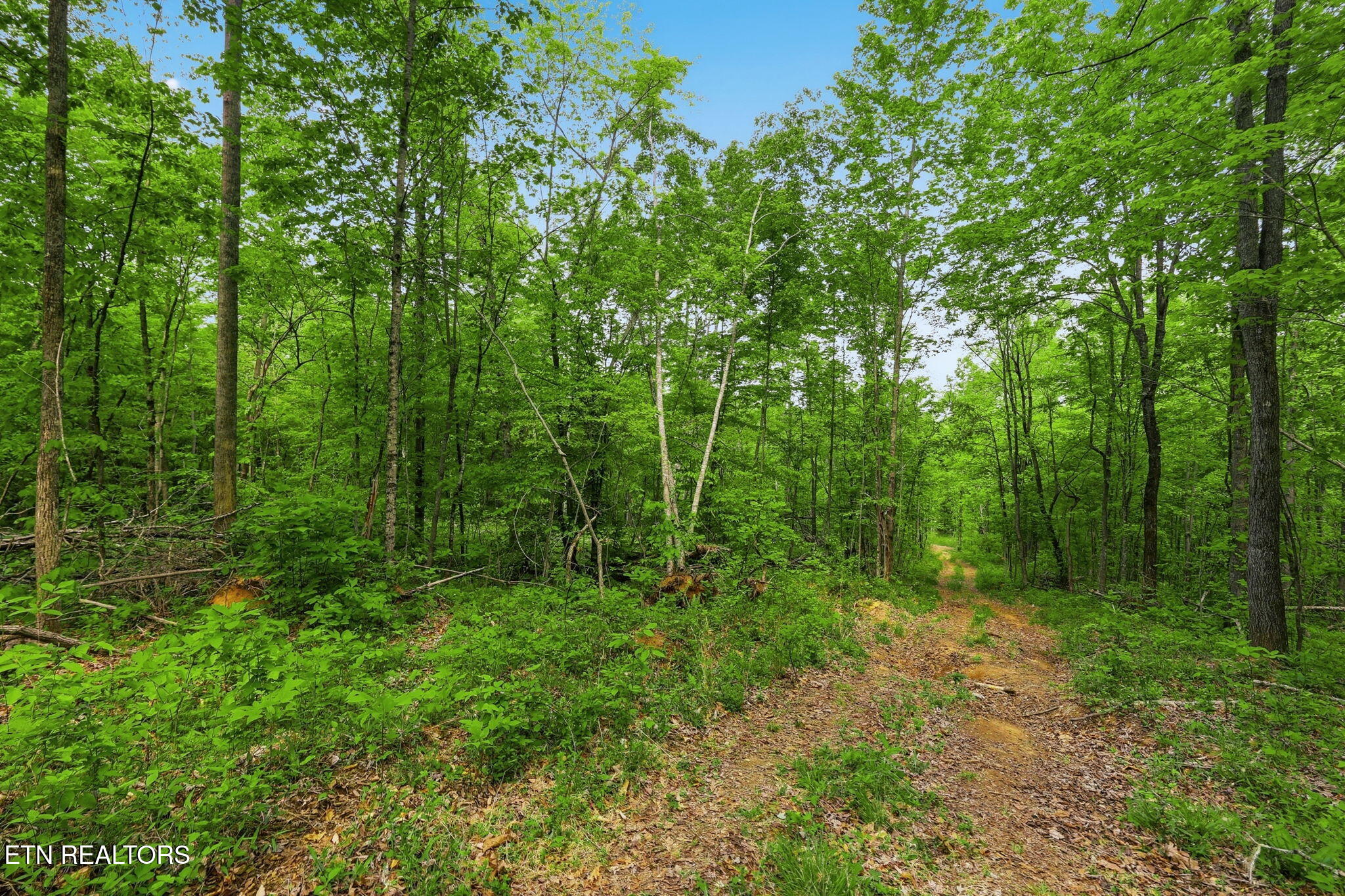 Cove Point Road Lafollette TN 37766