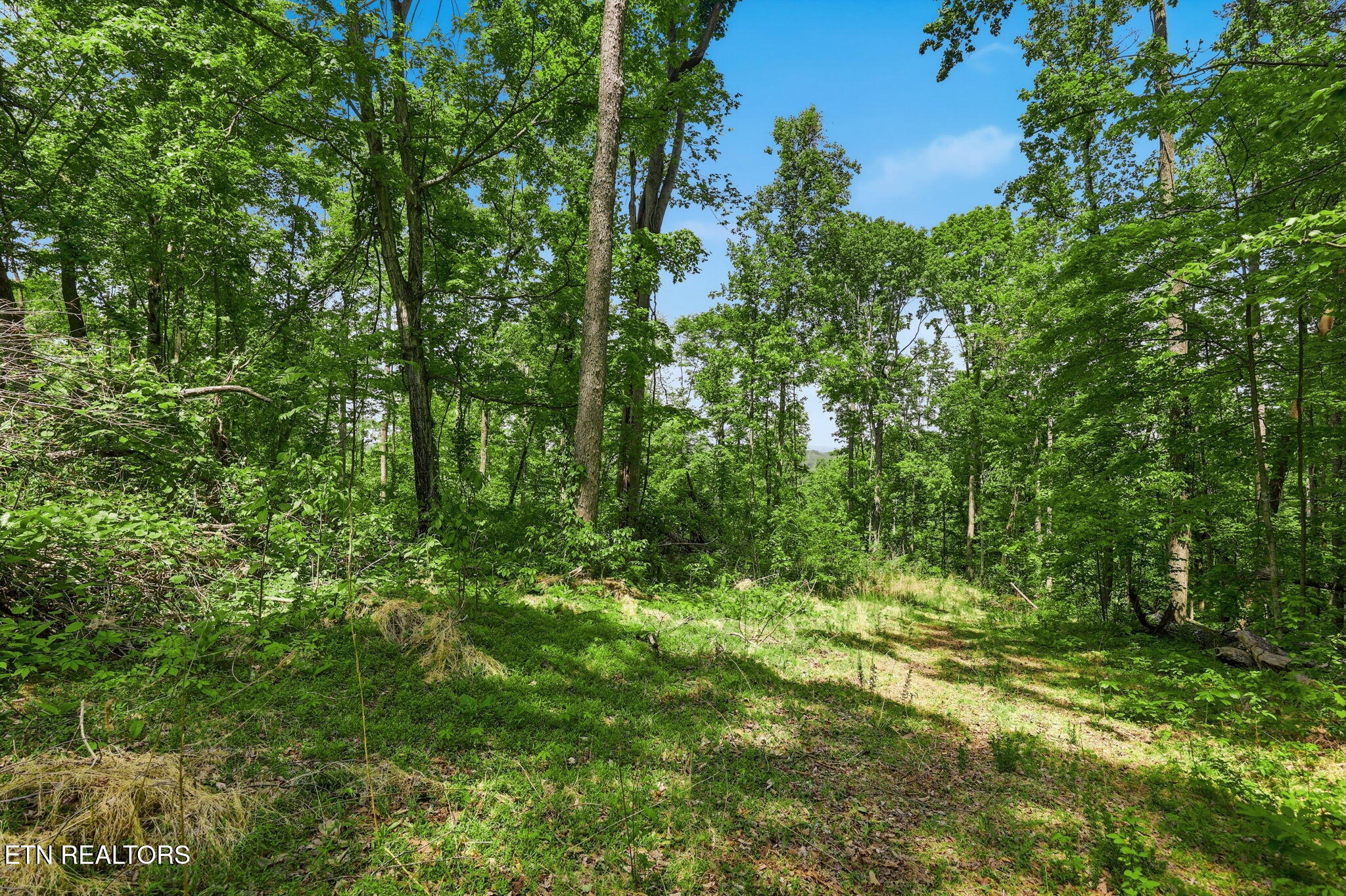 Cove Point Road Lafollette TN 37766
