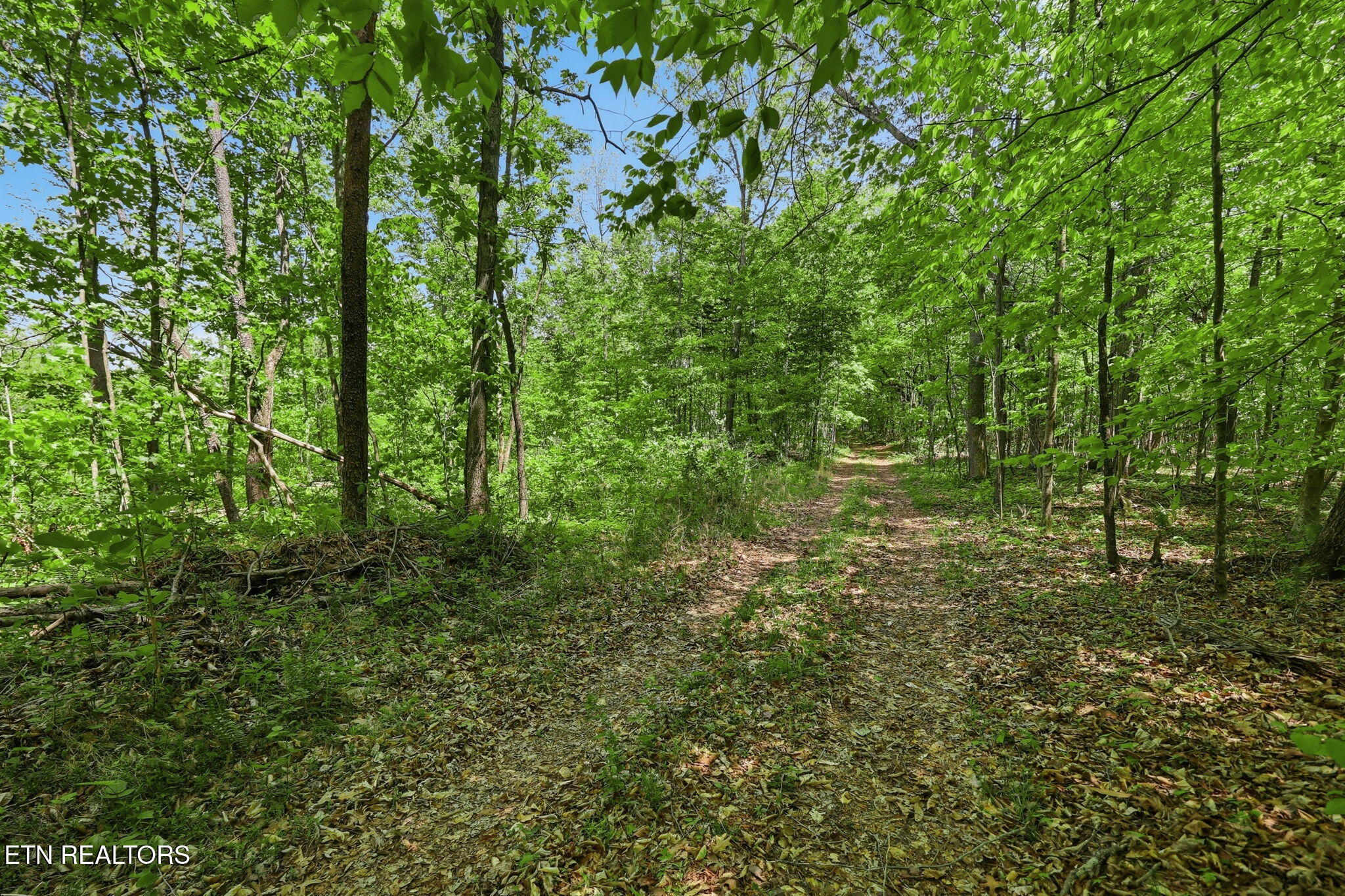 Cove Point Road Lafollette TN 37766