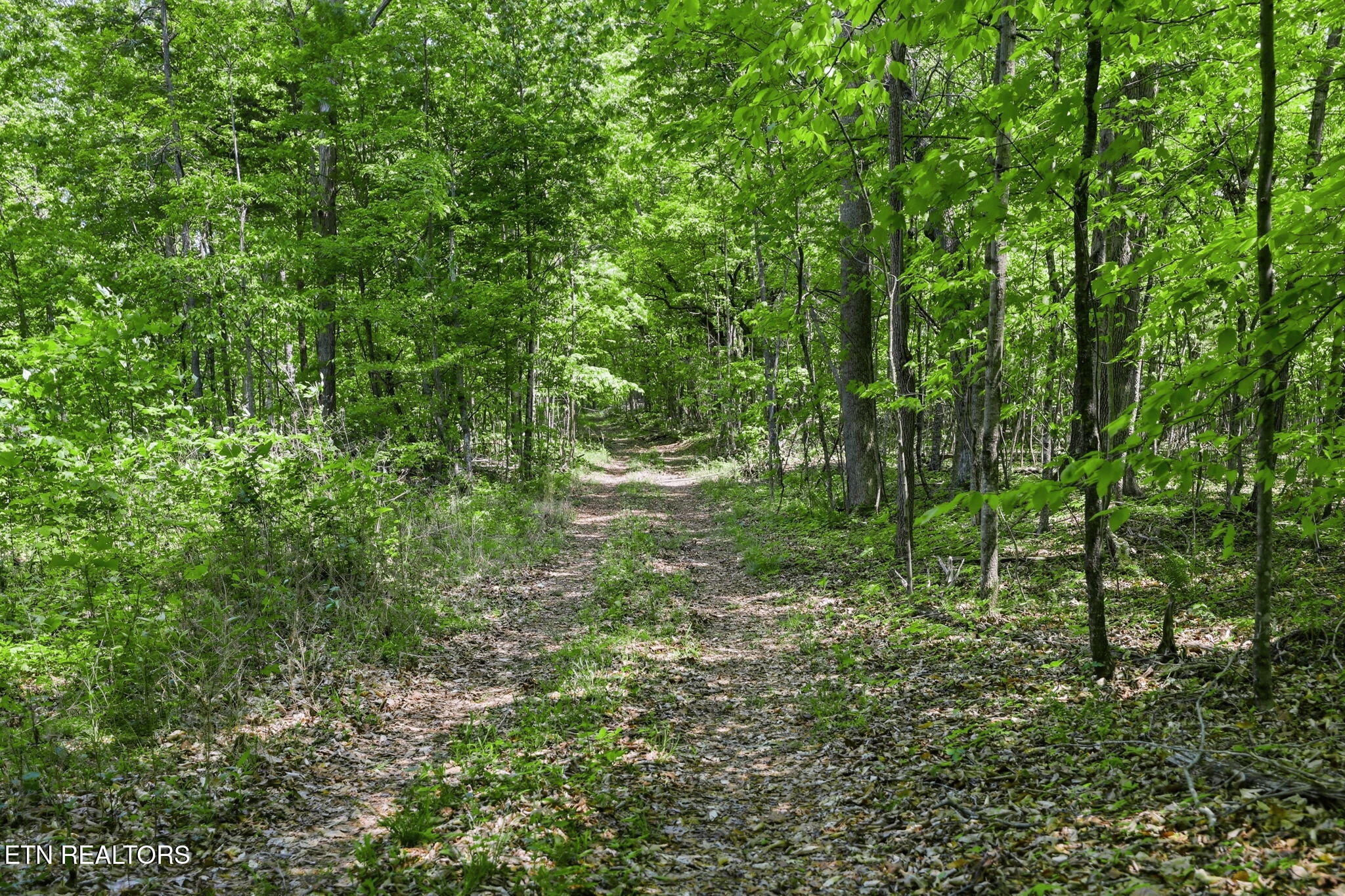 Cove Point Road Lafollette TN 37766