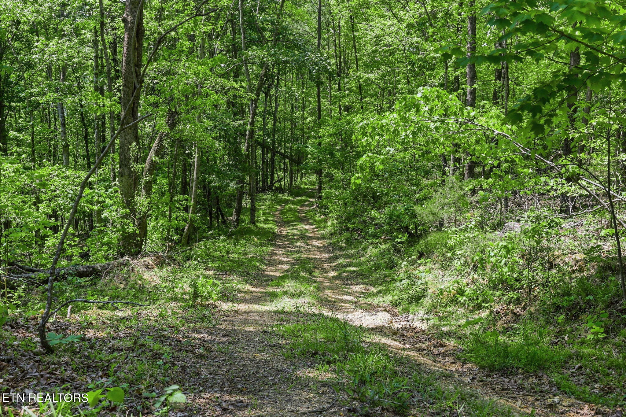 Cove Point Road Lafollette TN 37766