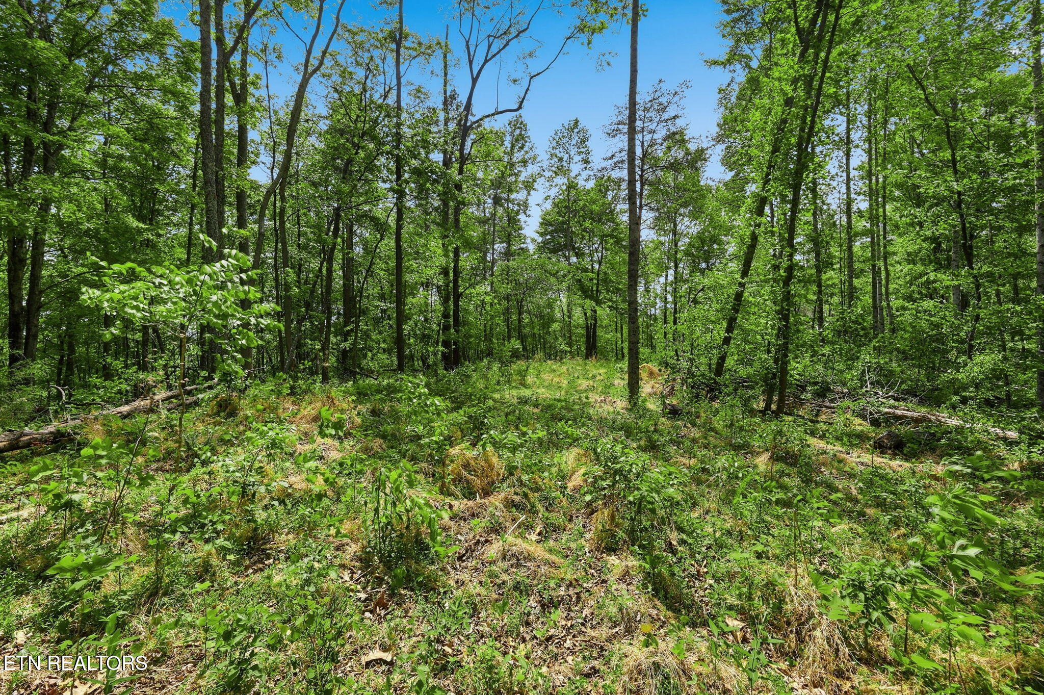 Cove Point Road Lafollette TN 37766