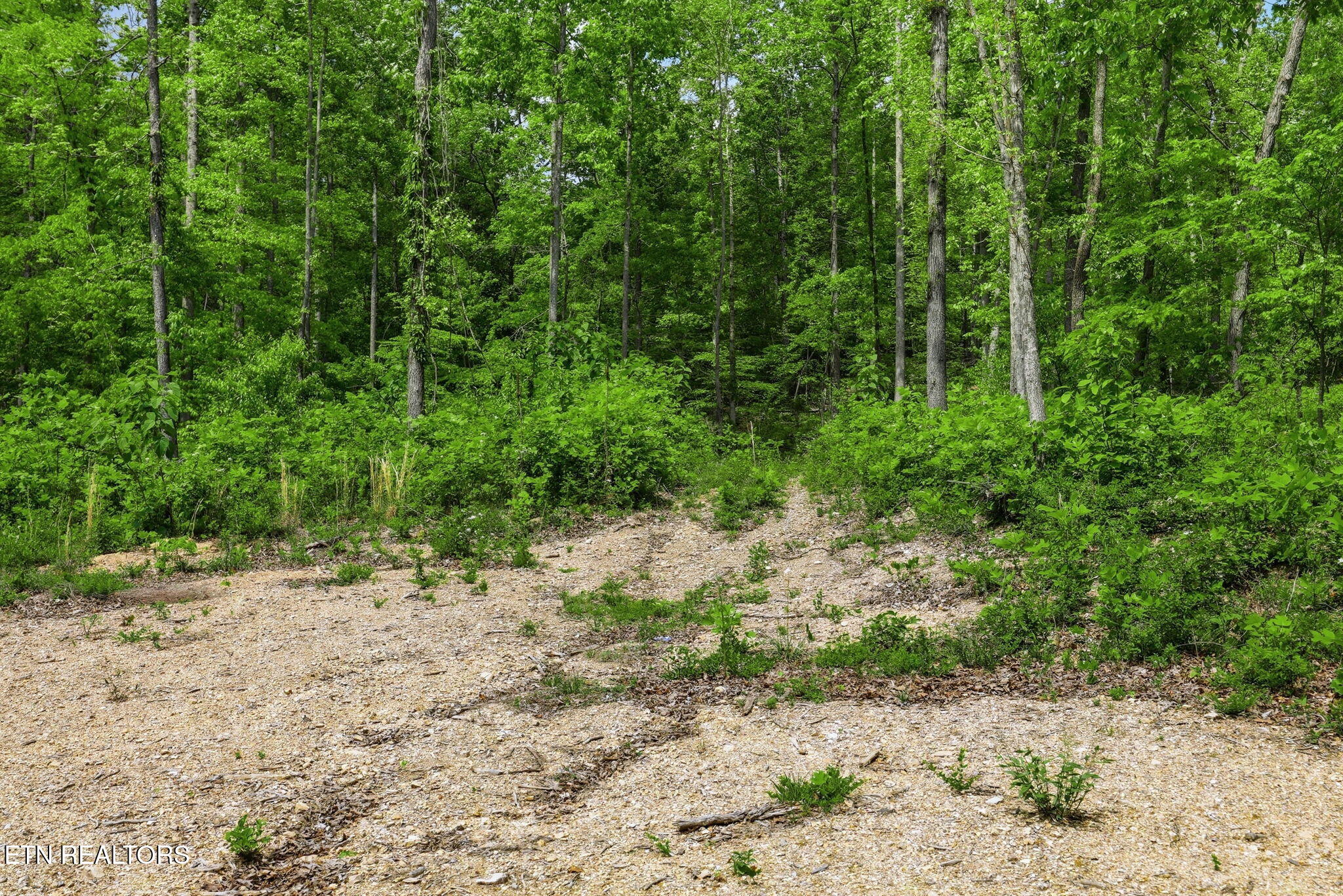 Cove Point Road Lafollette TN 37766