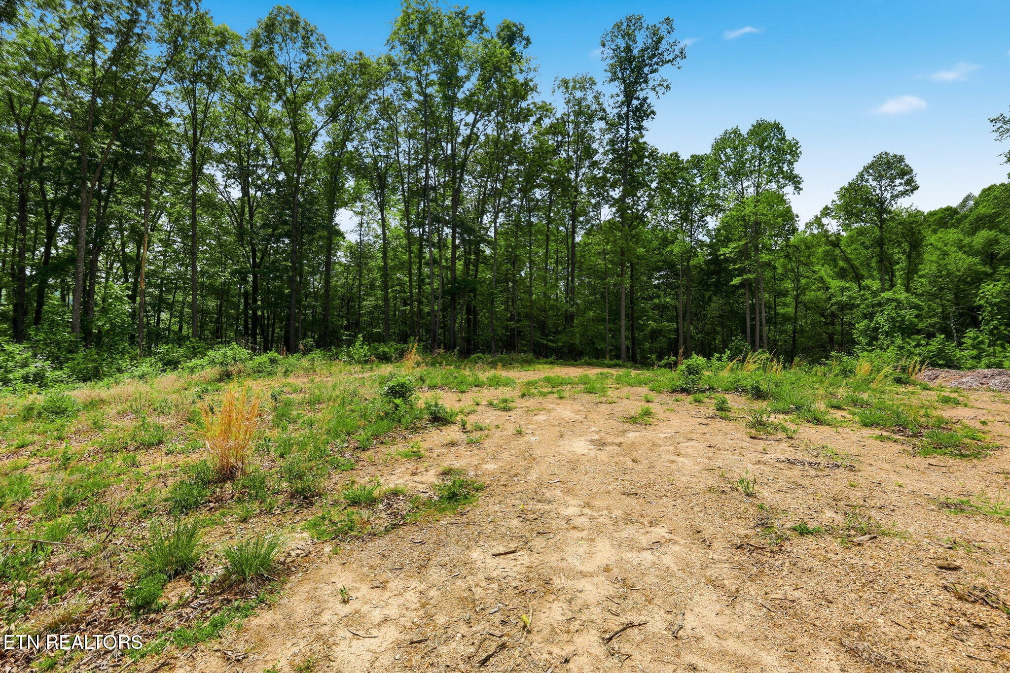 Cove Point Road Lafollette TN 37766
