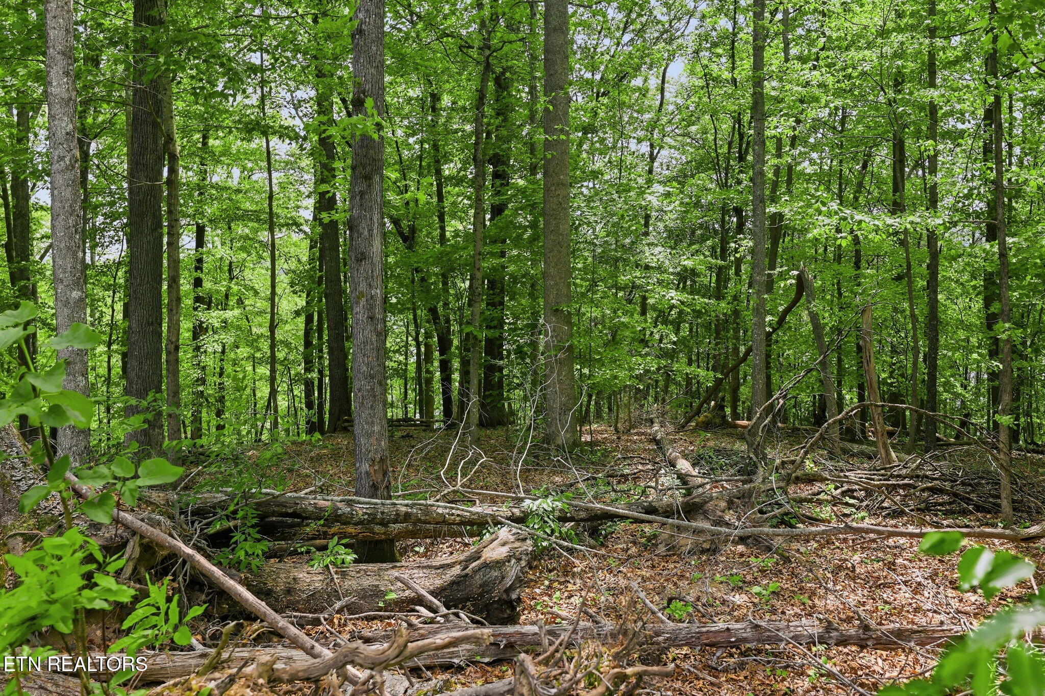 Cove Point Road Lafollette TN 37766
