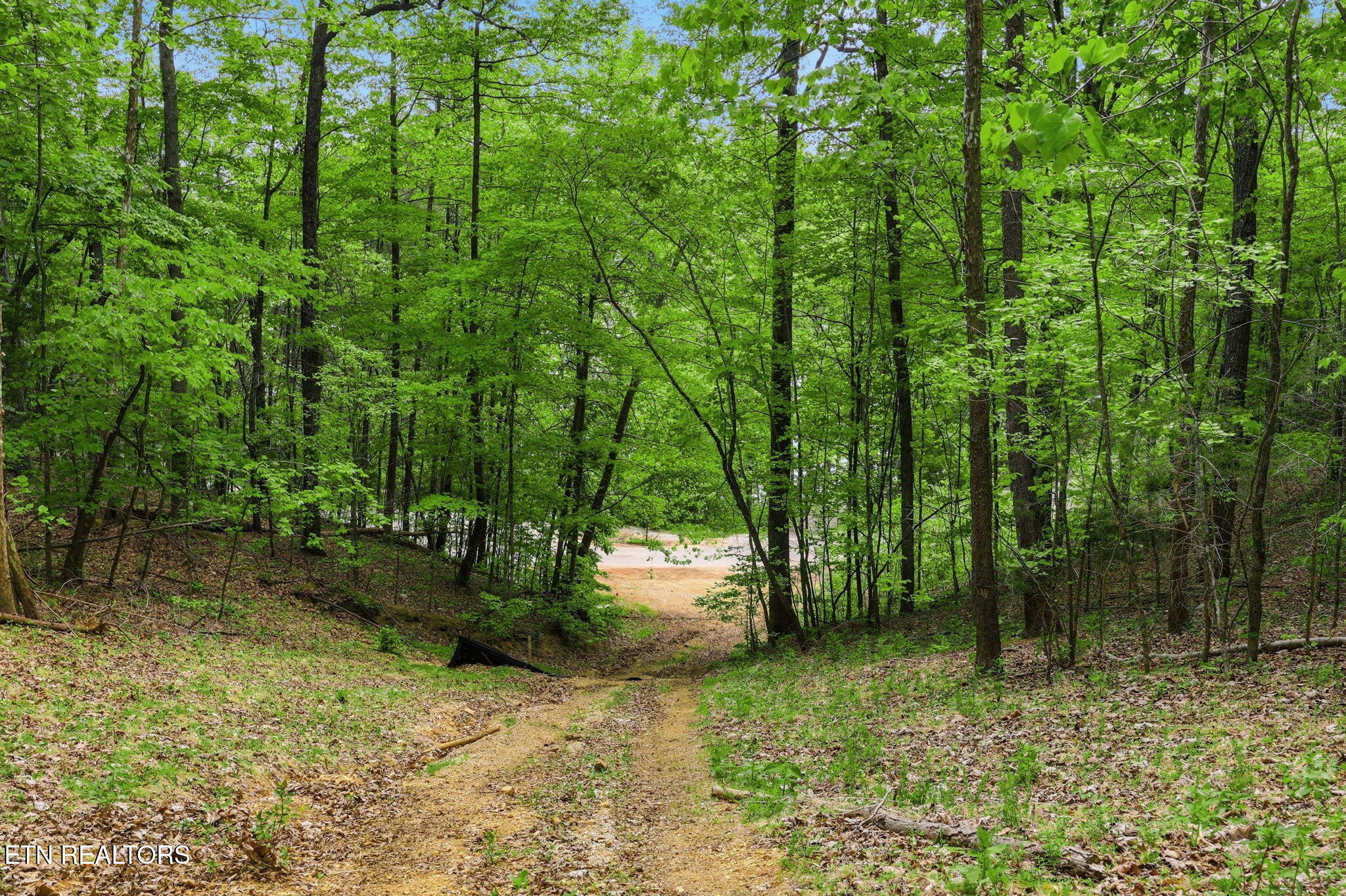 Cove Point Road Lafollette TN 37766