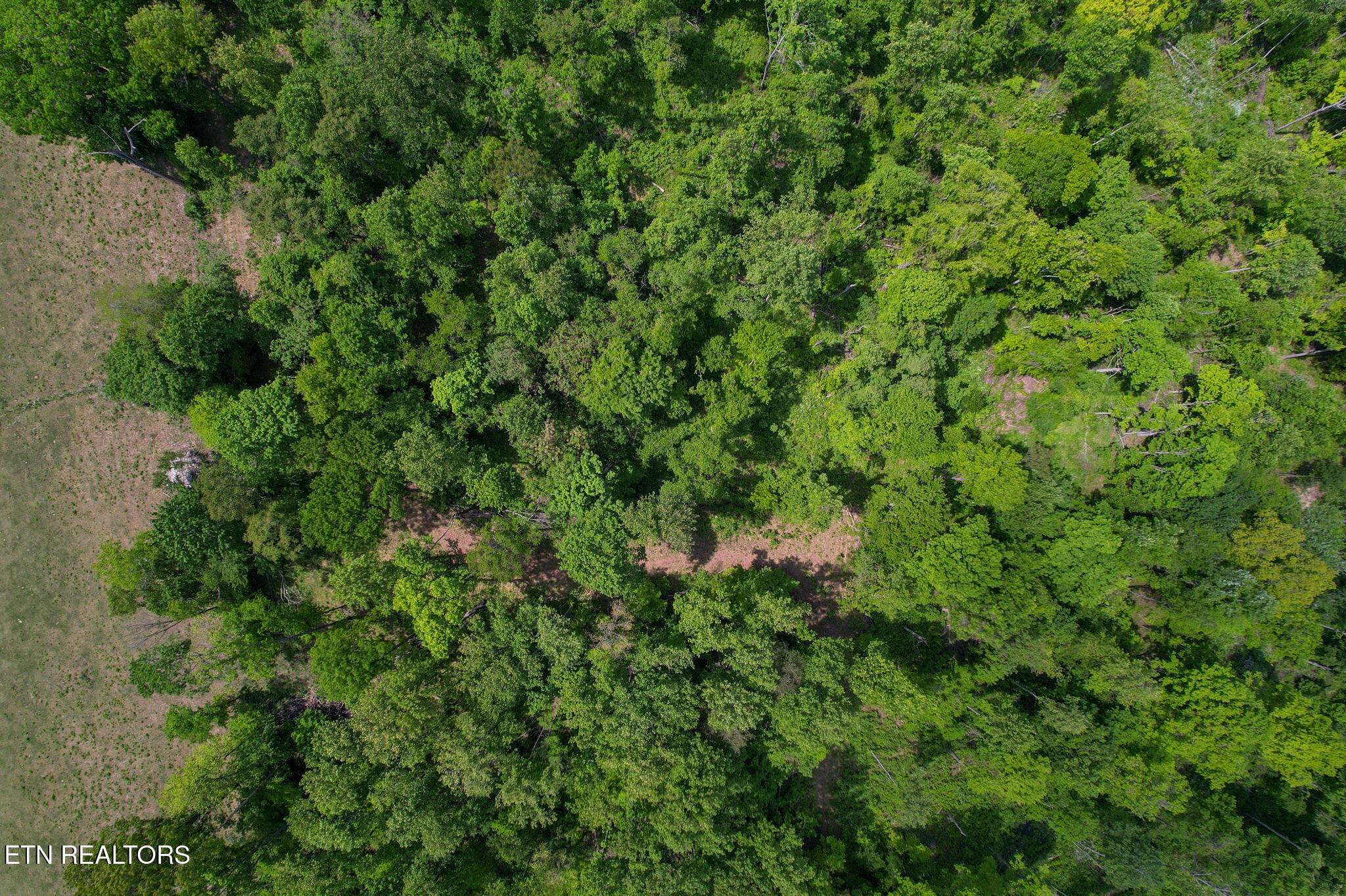 Cove Point Road Lafollette TN 37766