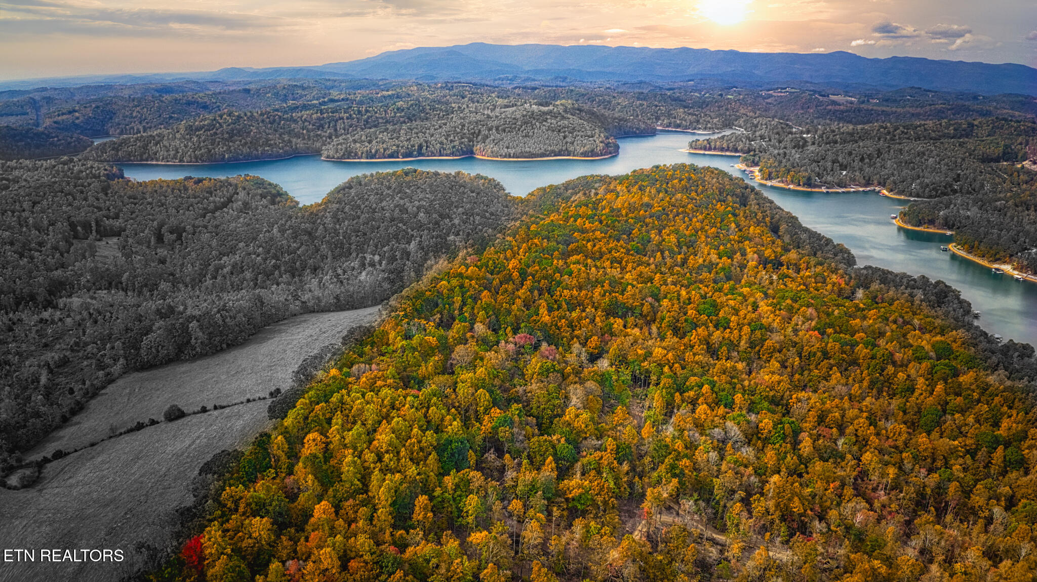 Cove Point Road Lafollette TN 37766