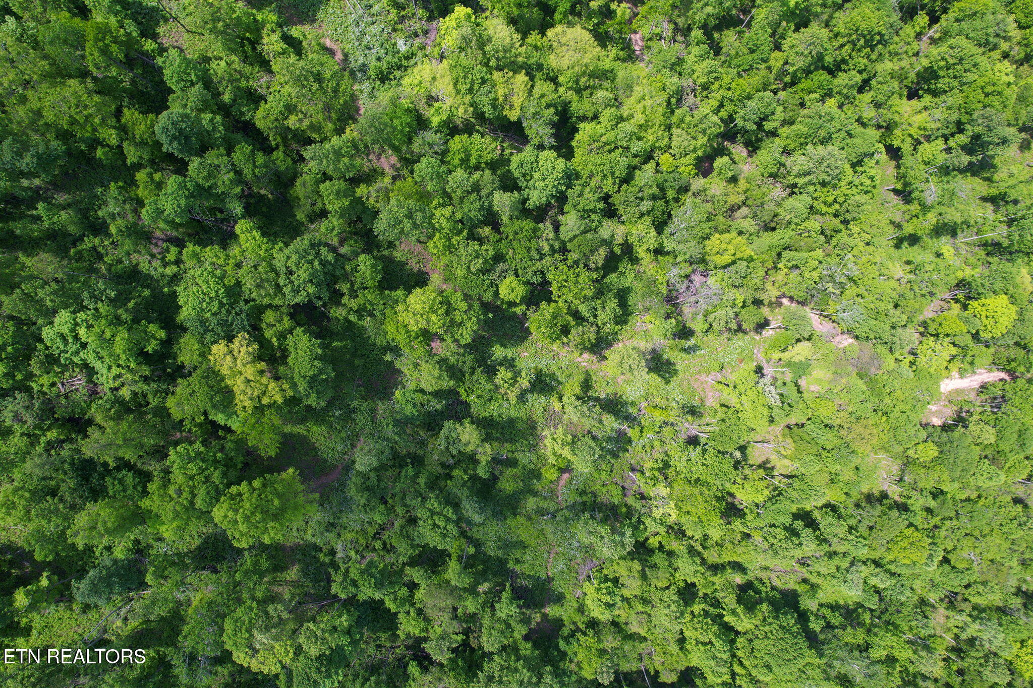 Cove Point Road Lafollette TN 37766