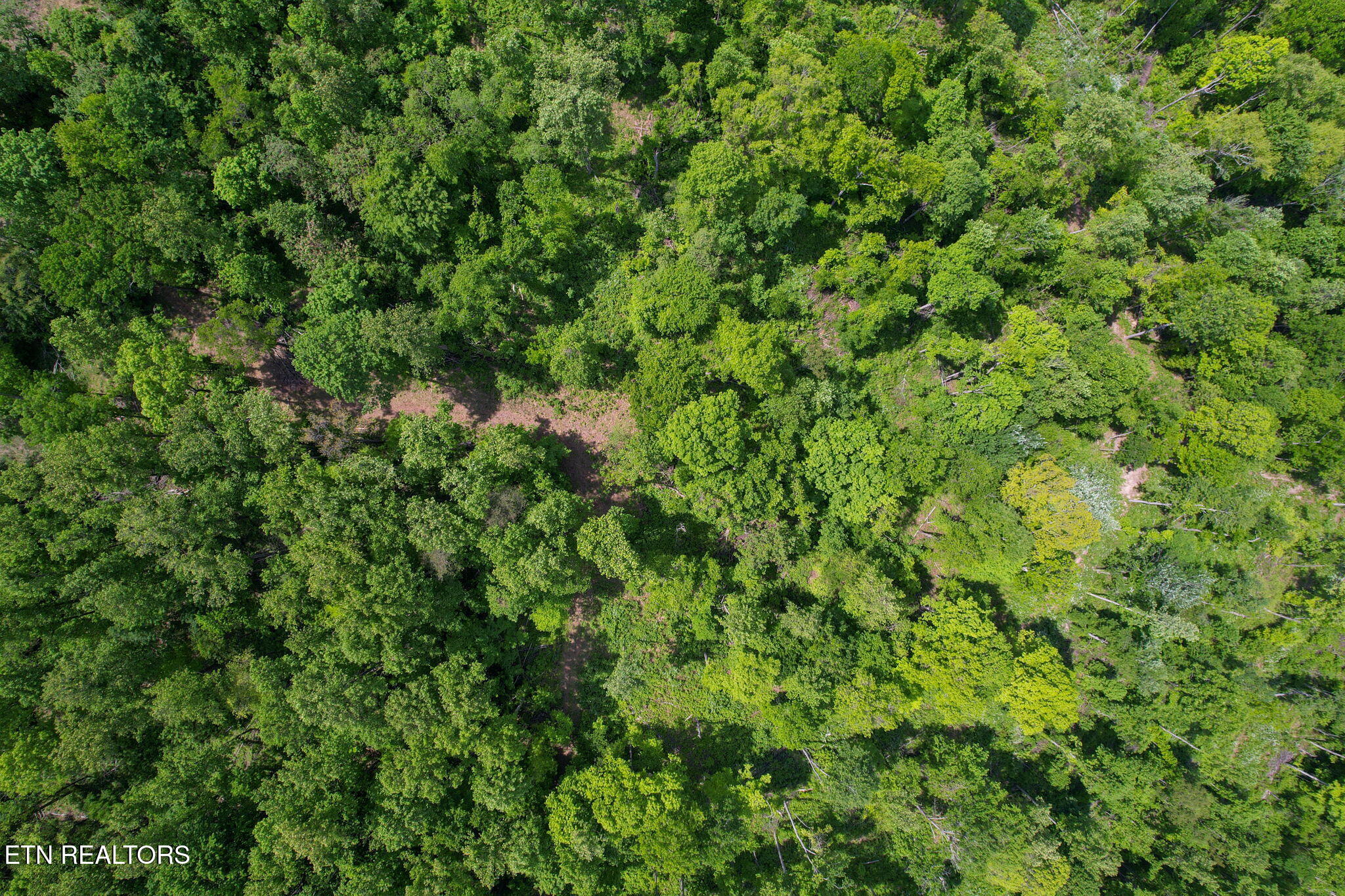 Cove Point Road Lafollette TN 37766