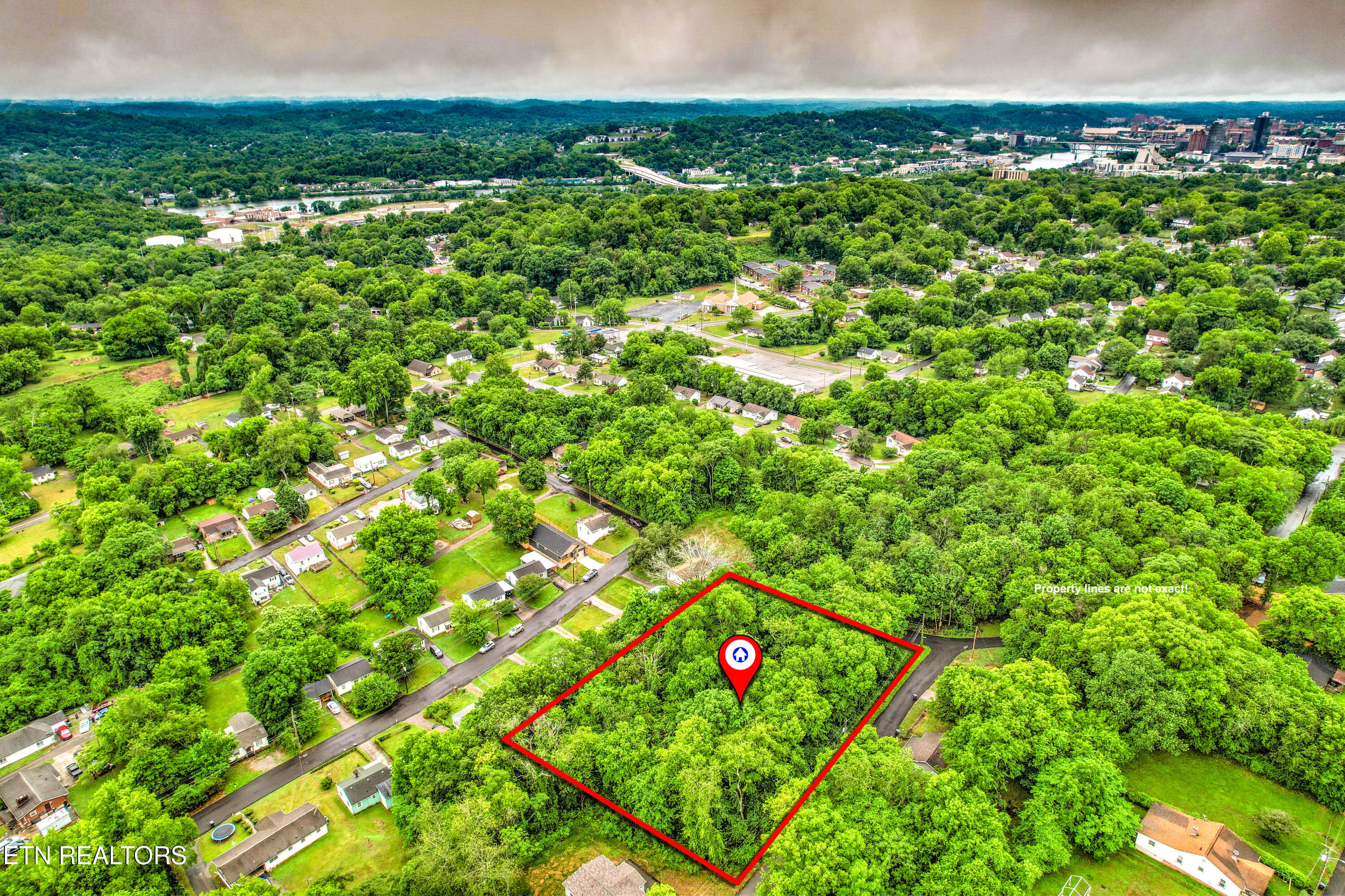 Daisy Avenue Knoxville TN 37915