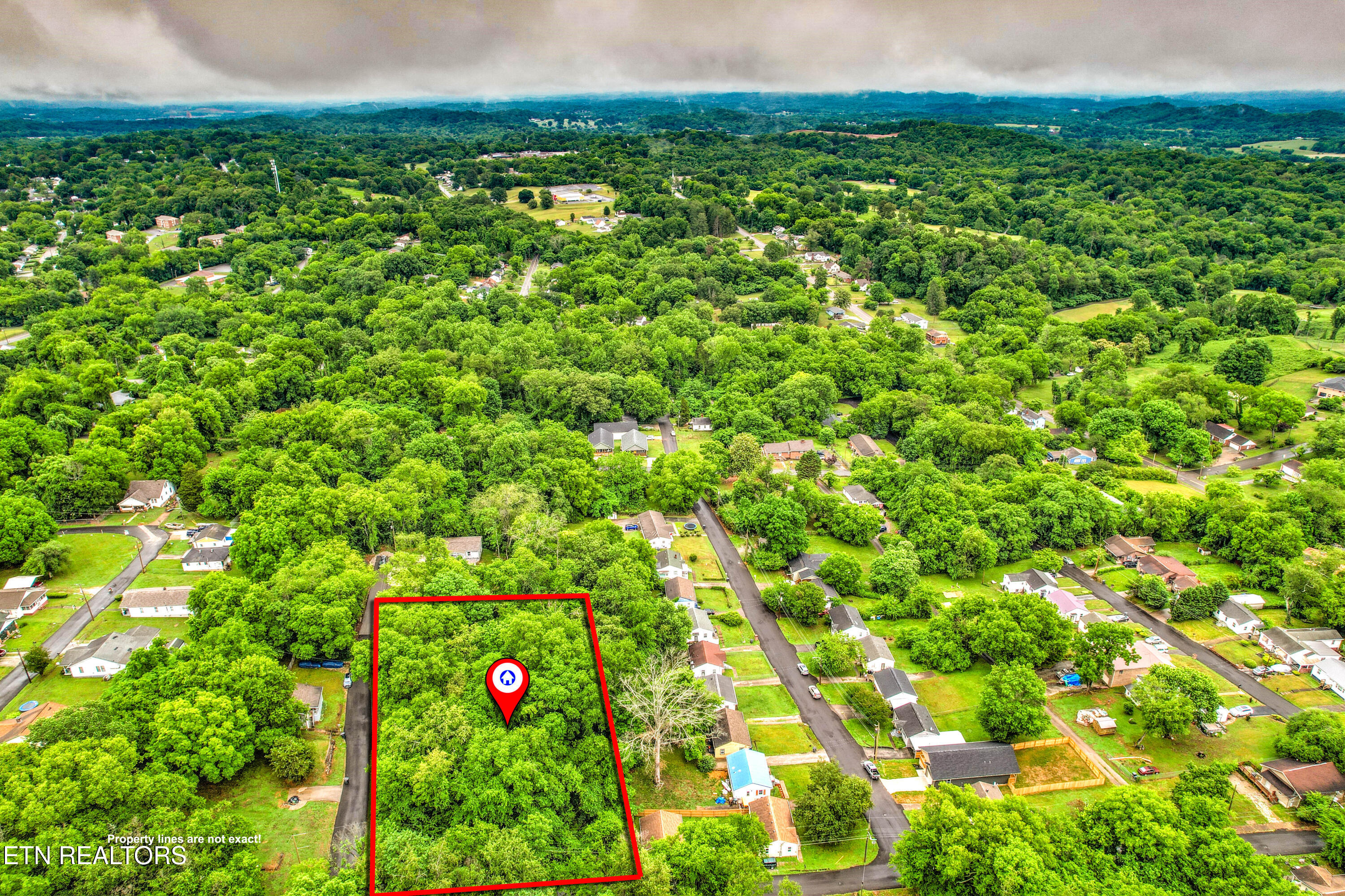 Daisy Avenue Knoxville TN 37915
