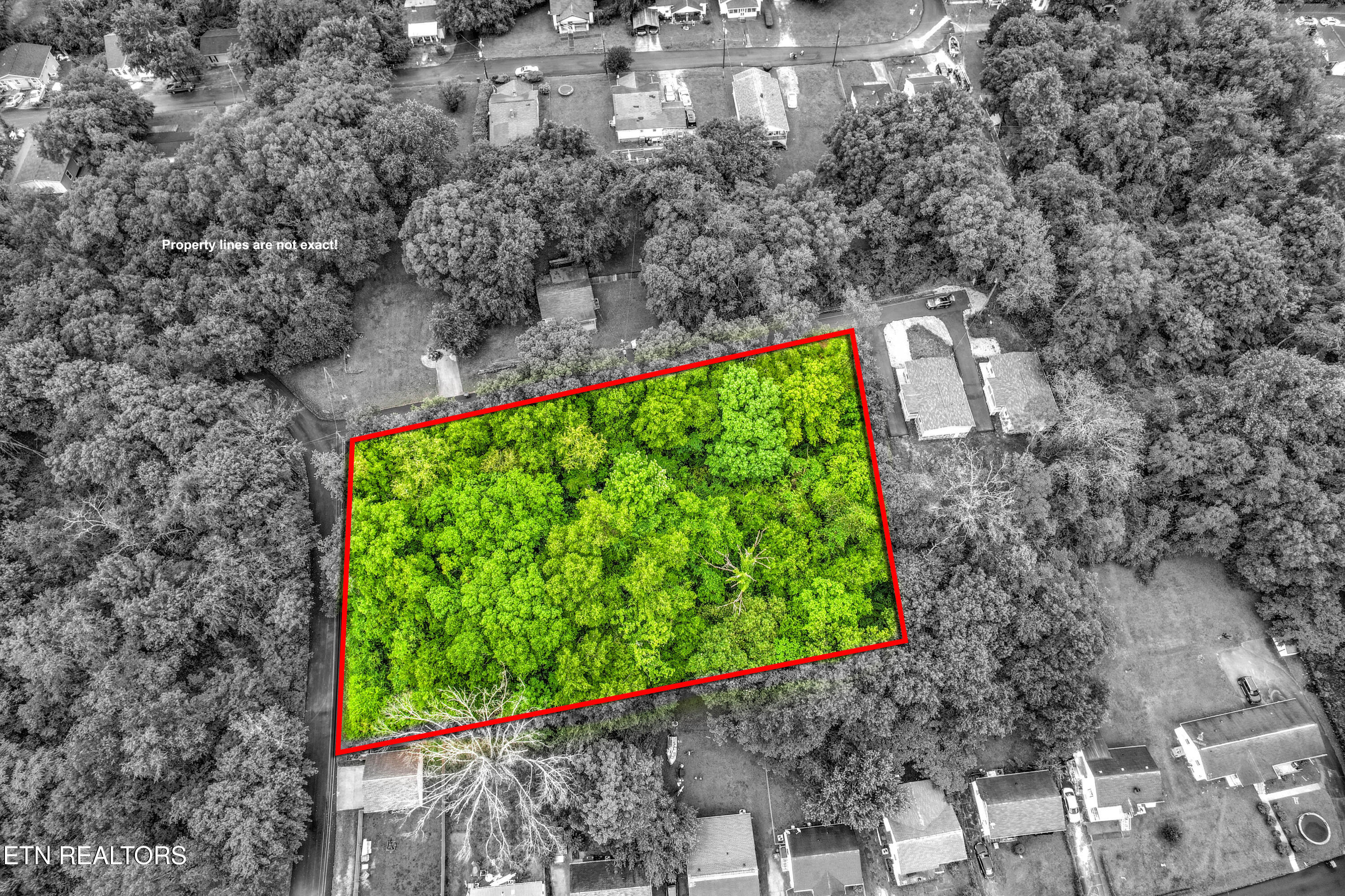 Daisy Avenue Knoxville TN 37915