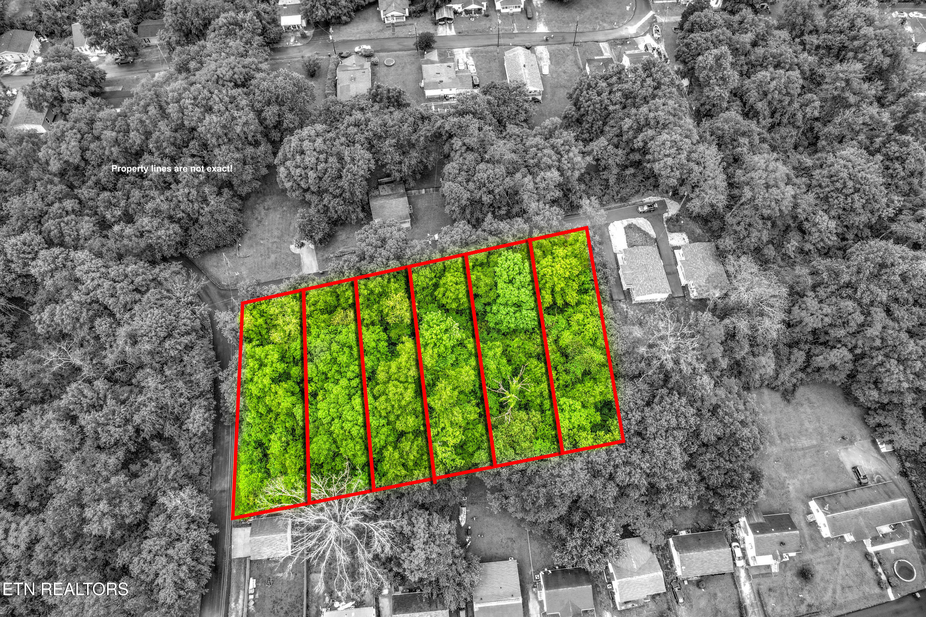 Daisy Avenue Knoxville TN 37915