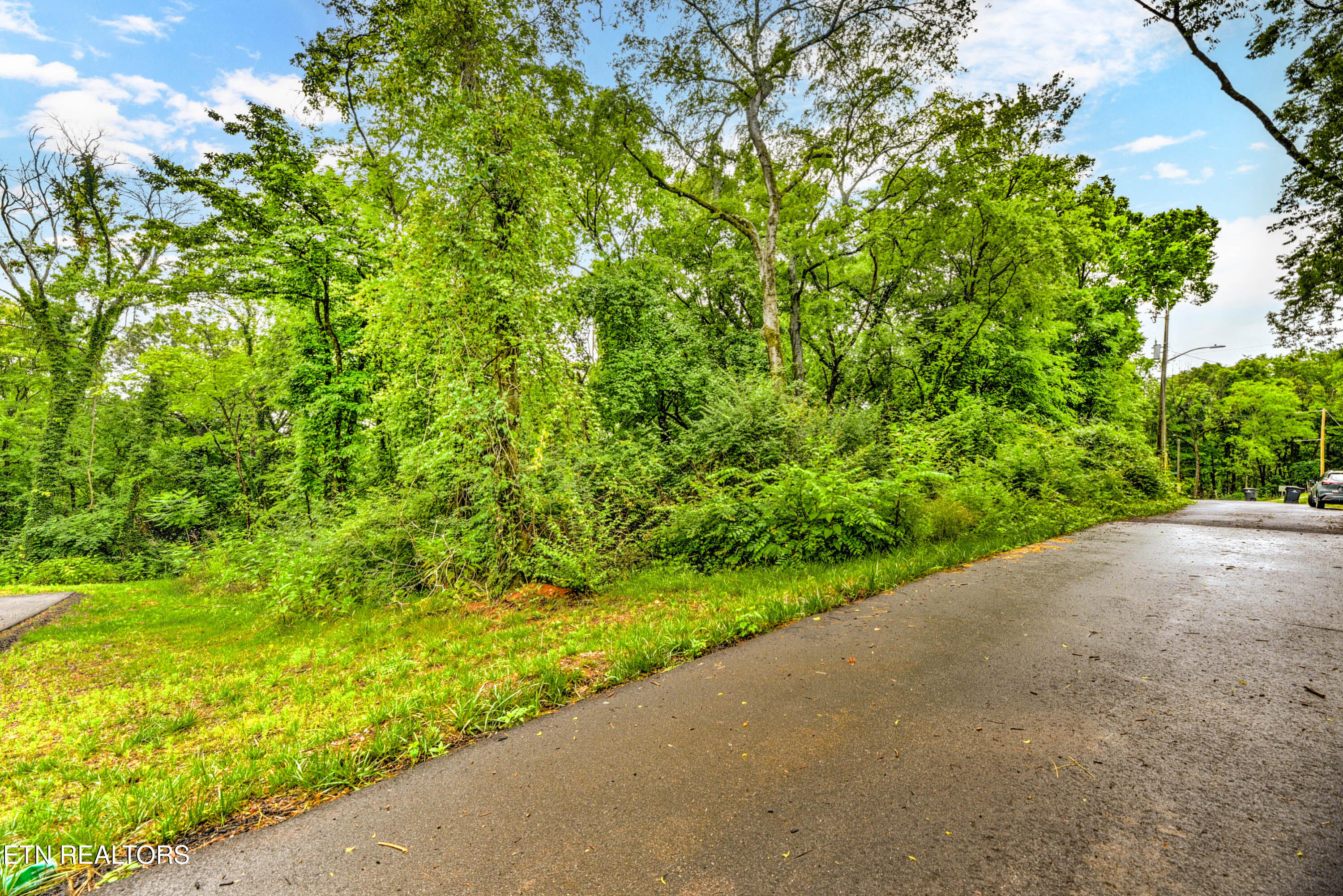 Daisy Avenue Knoxville TN 37915