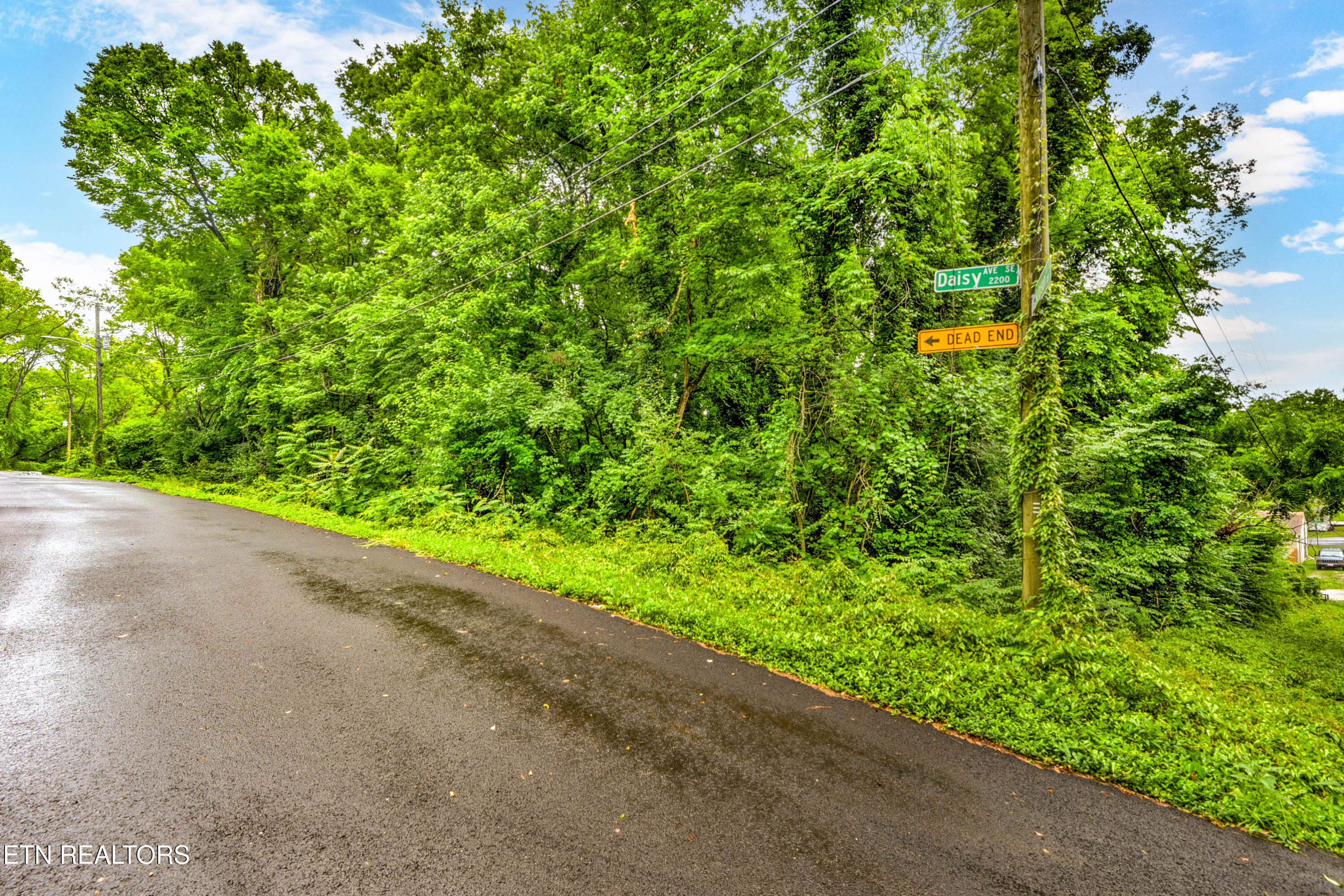 Daisy Avenue Knoxville TN 37915