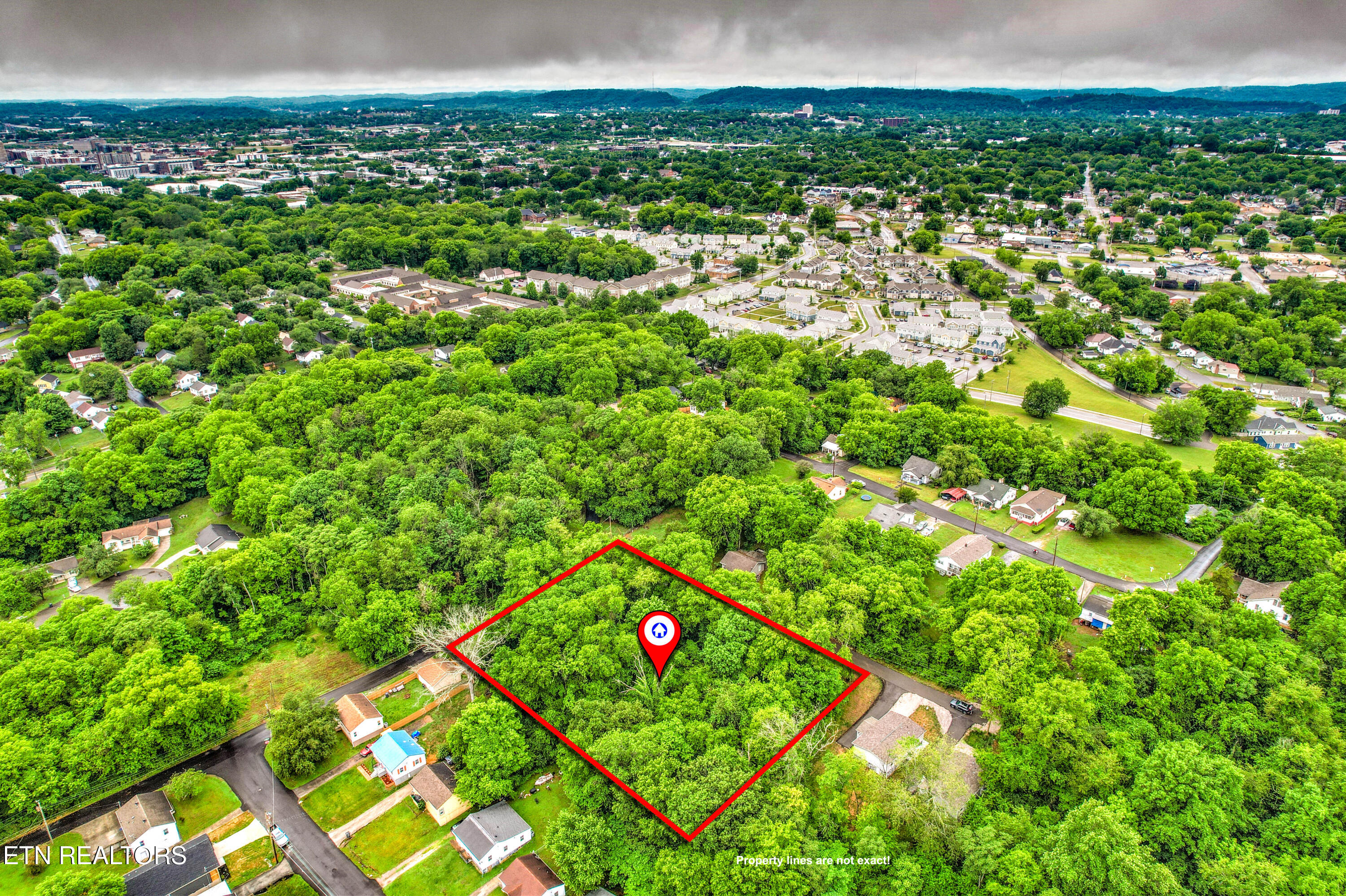 Daisy Avenue Knoxville TN 37915