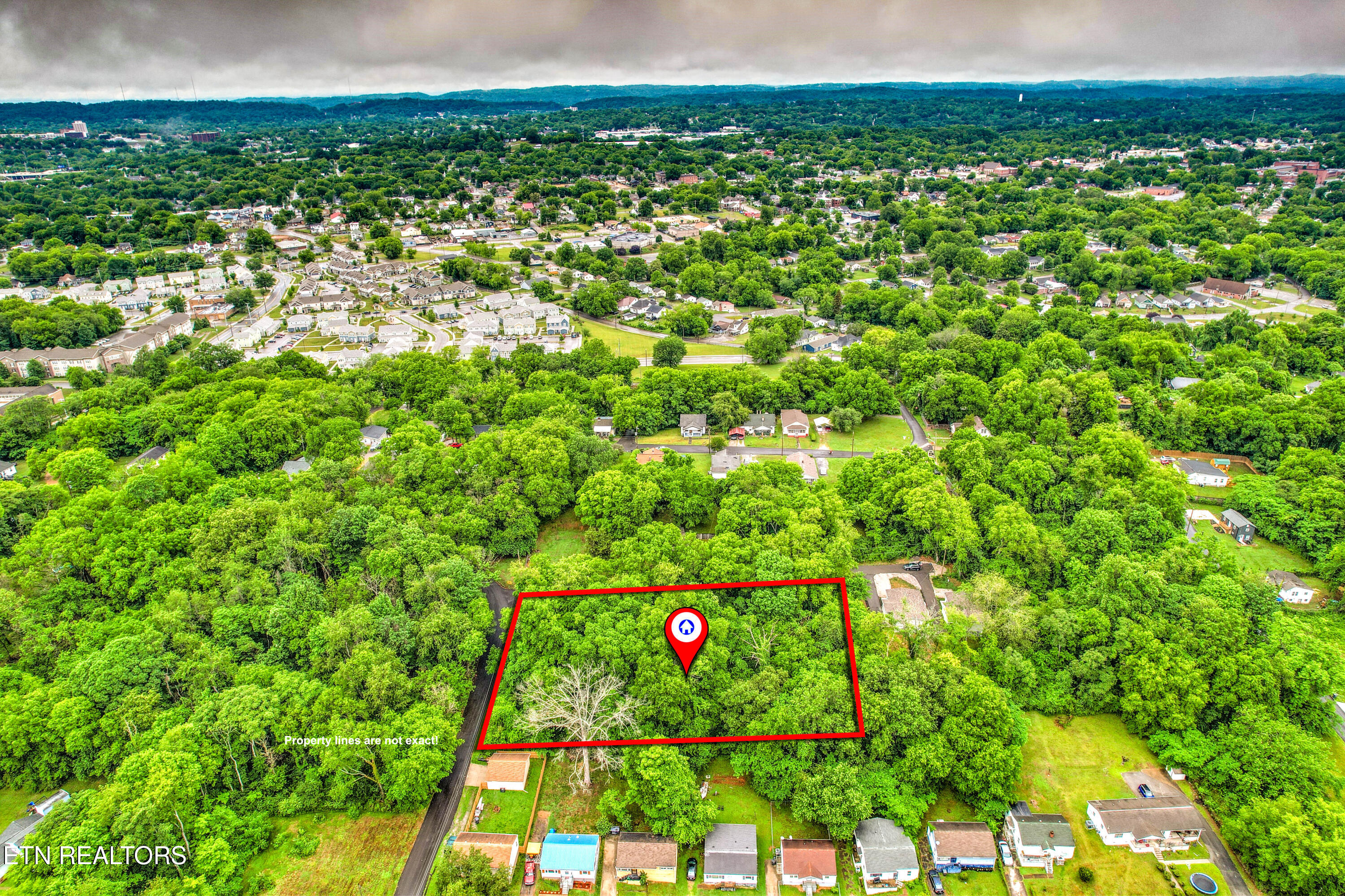 Daisy Avenue Knoxville TN 37915