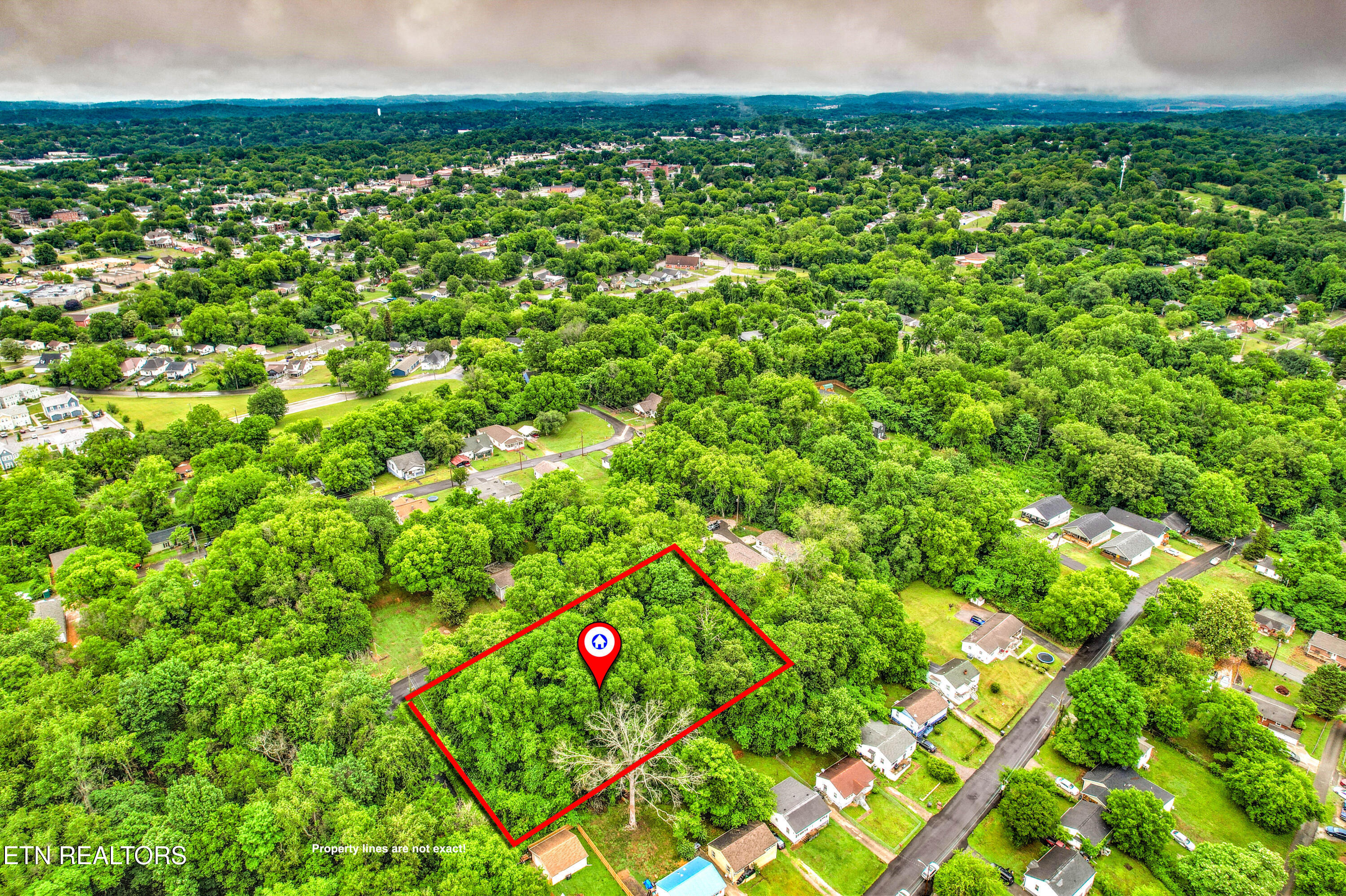 Daisy Avenue Knoxville TN 37915
