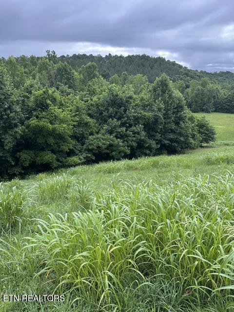 Mill Drive Decatur TN 37322