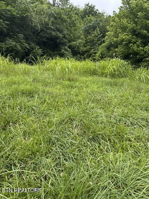 Mill Drive Decatur TN 37322